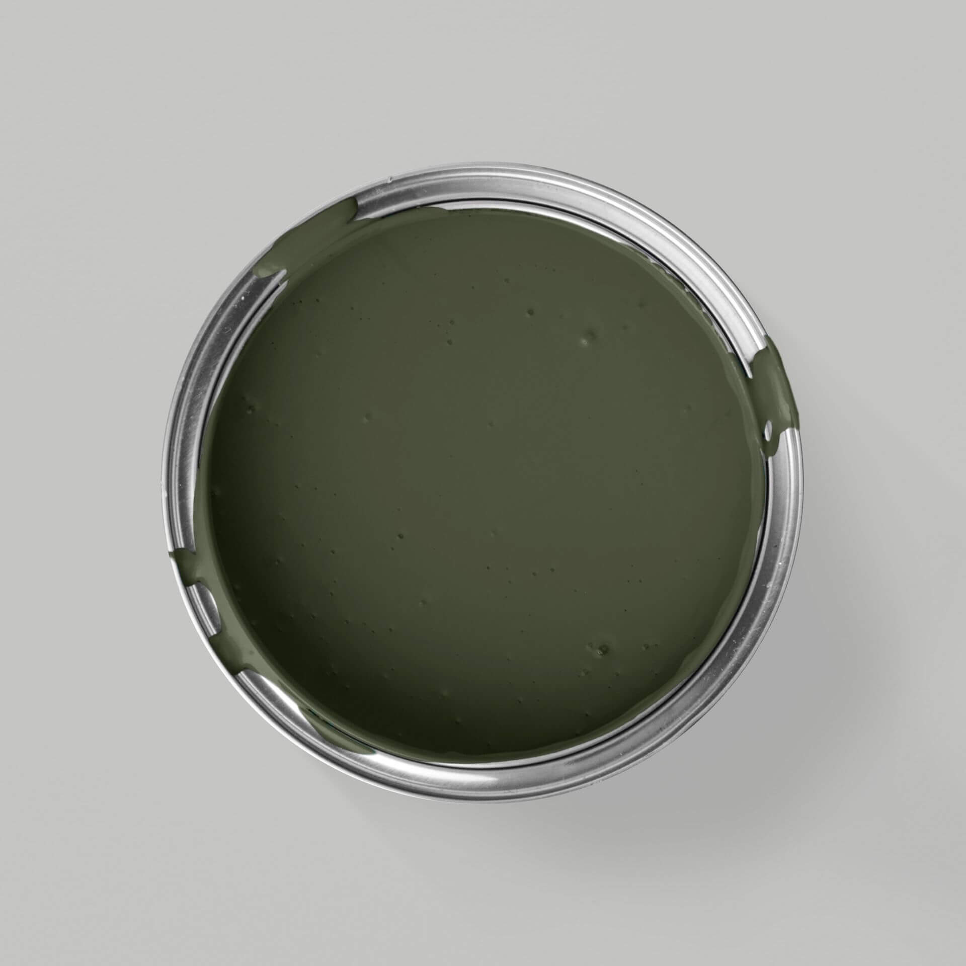 MissPompadour Green with Mud - The Valuable Wall Paint 1L