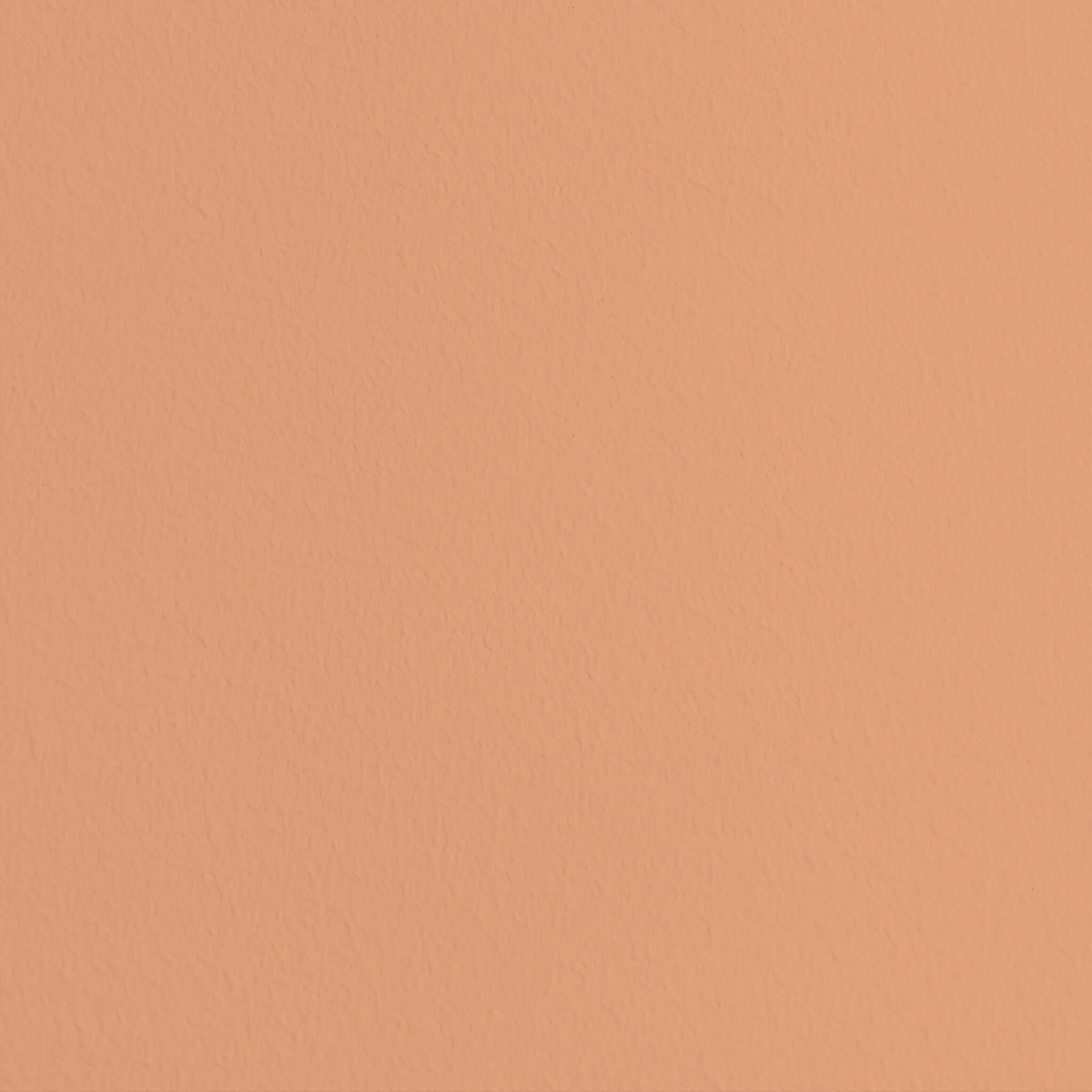 MissPompadour Orange with Salmon - The Valuable Wall Paint 1L