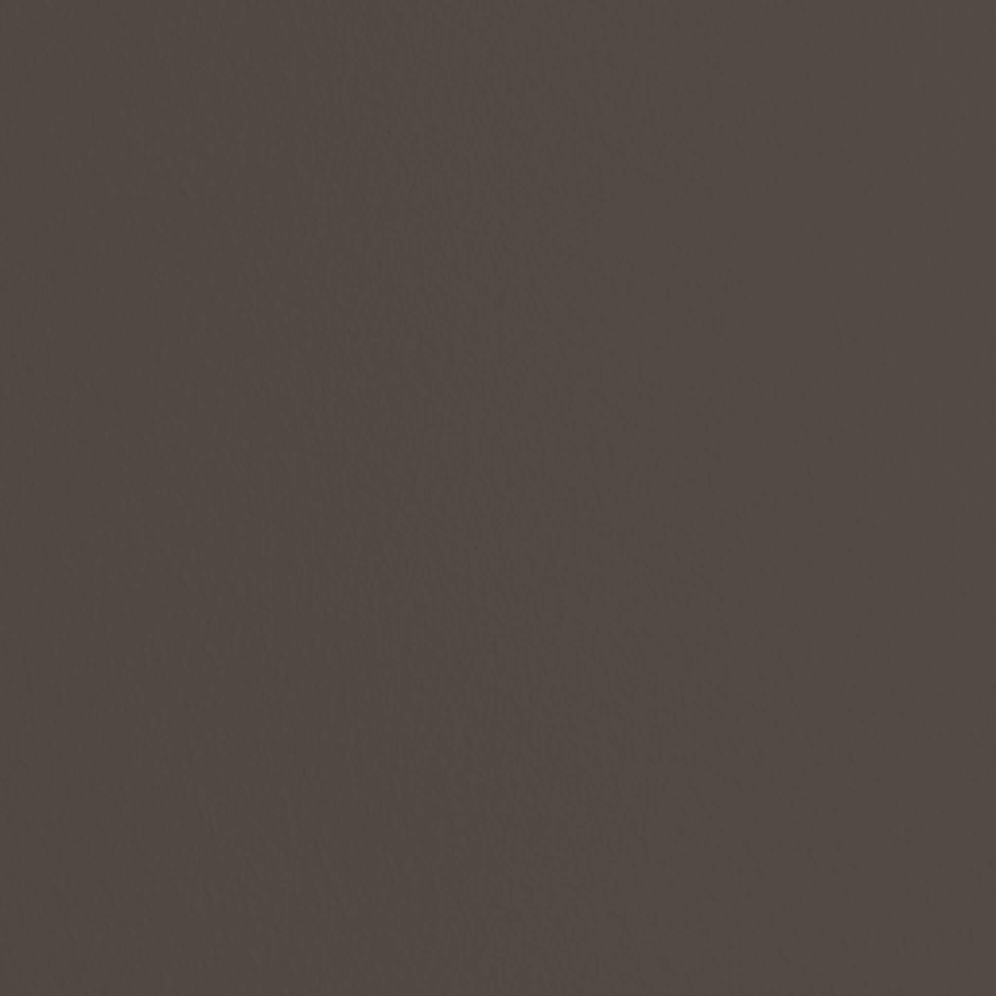 Mylands FTT 015 Raw Umber - Wood & Metal Gloss / Lack Glänzend, 2.5L