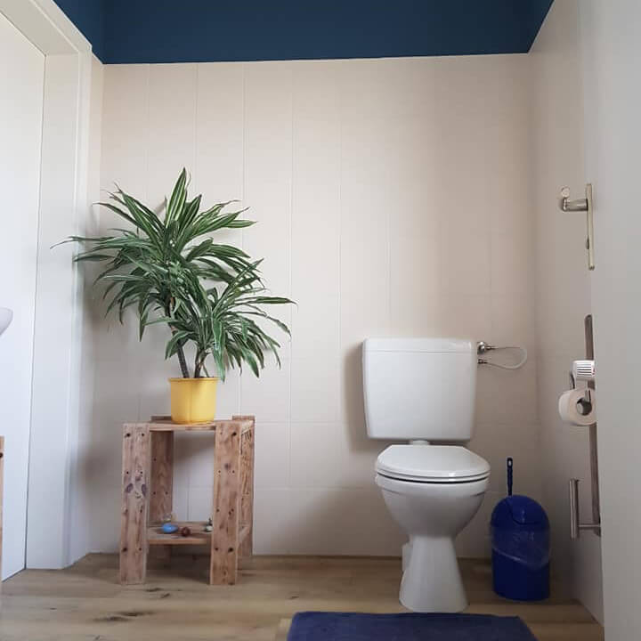 MissPompadour Beige mit Kaschmir - Stark & Schimmernd 1L