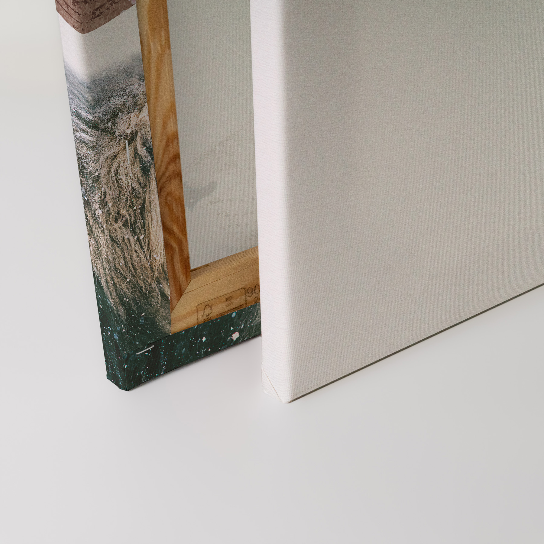 Schneelöwe Leinwandbild - 60 x 40 cm
