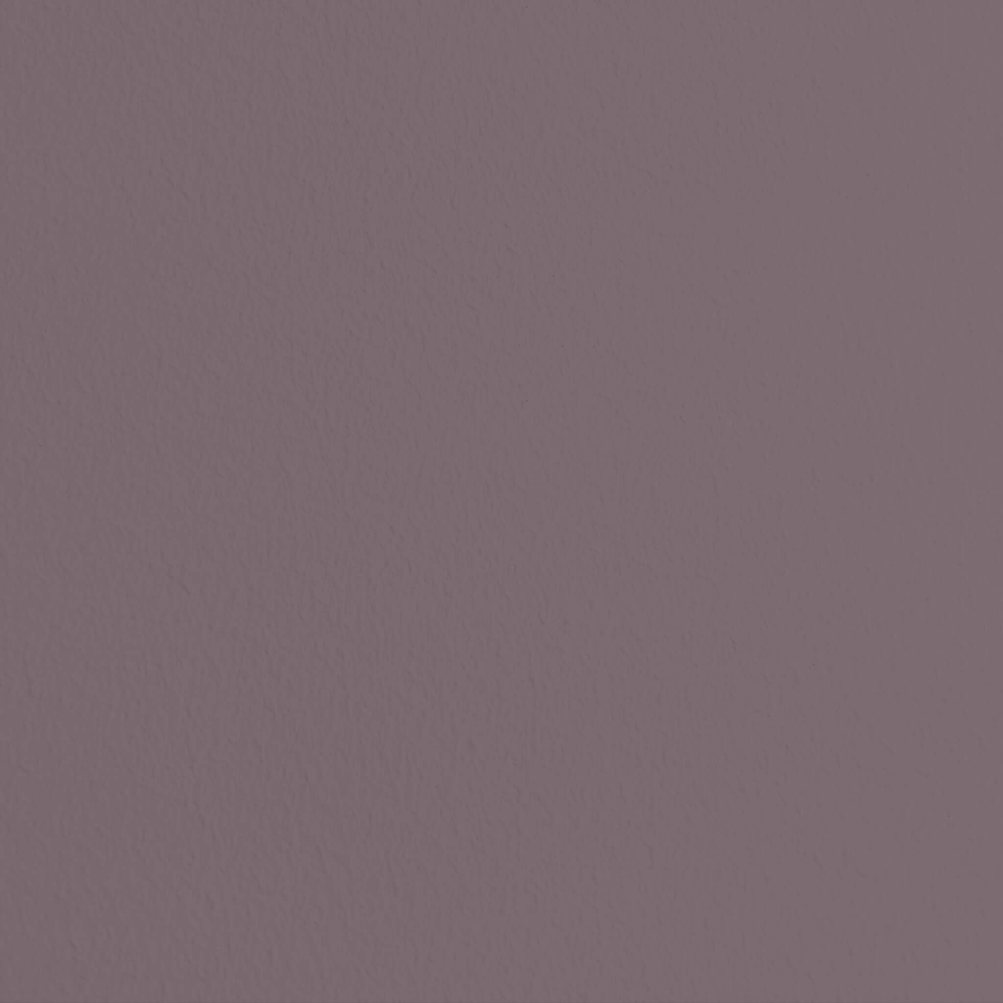 MissPompadour Purple with Blueberry - The Functional Wall Paint 1L