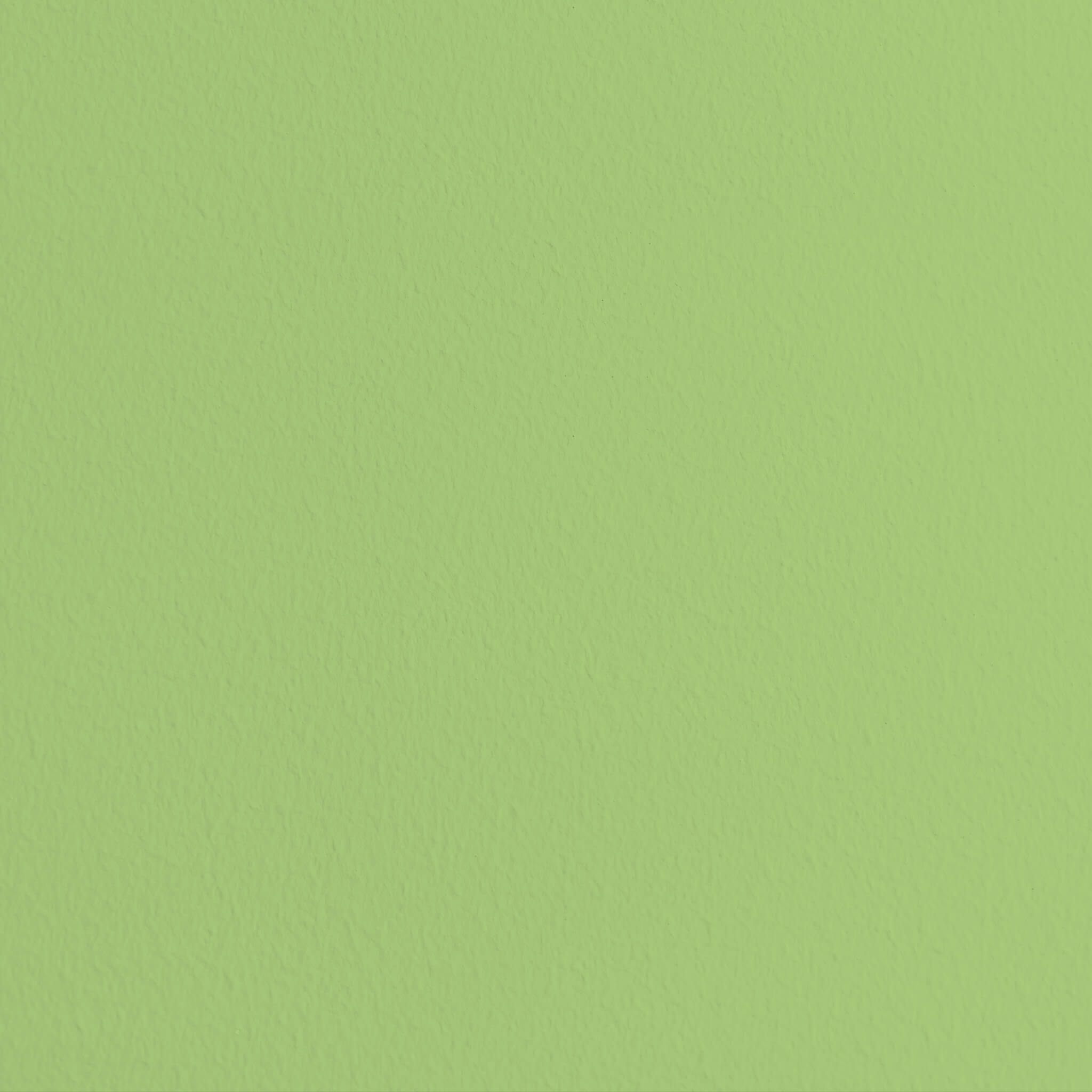 MissPompadour Grün mit Gras - Die Wertvolle 2.5L