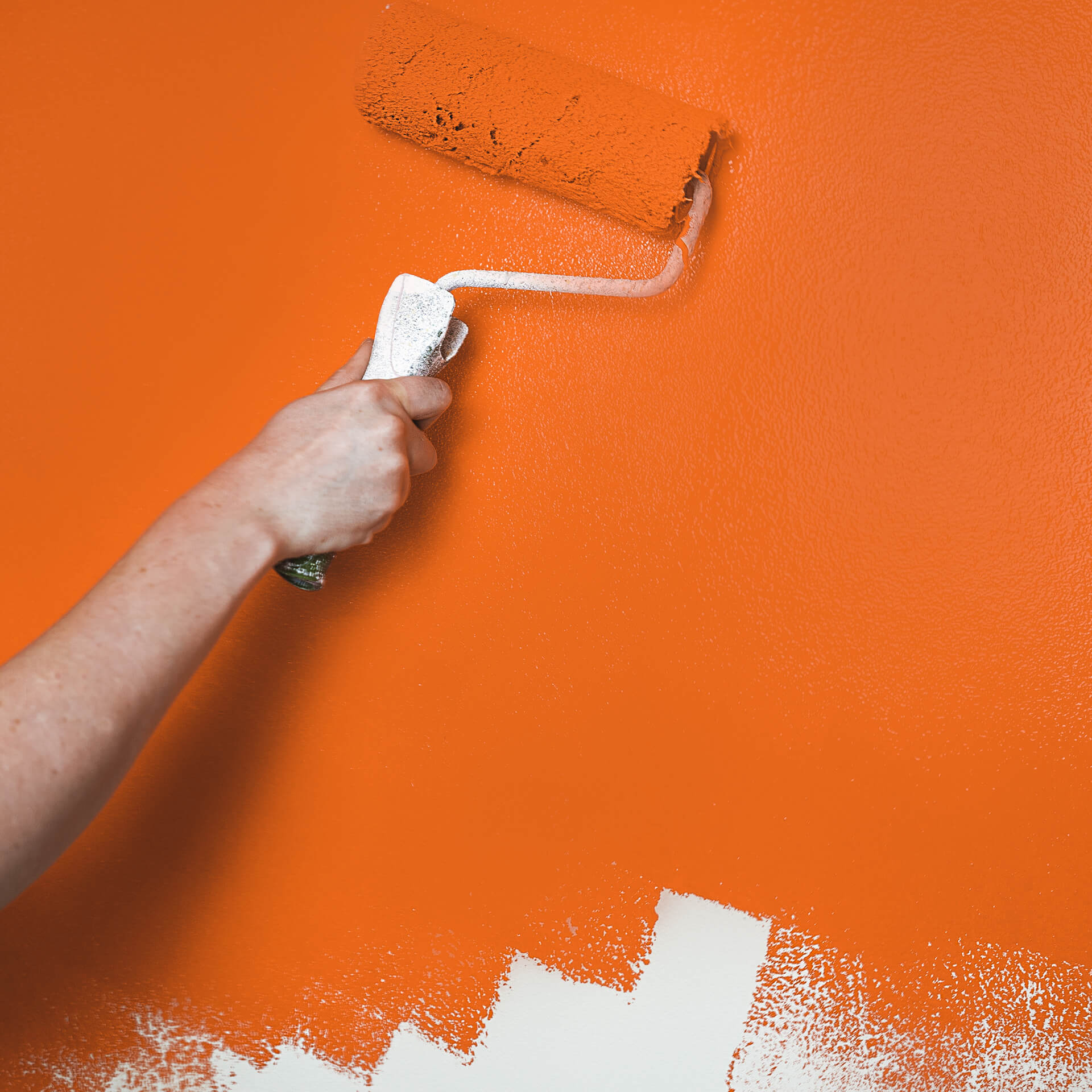 MissPompadour Orange with Goldfish - The Valuable Wall Paint 1L