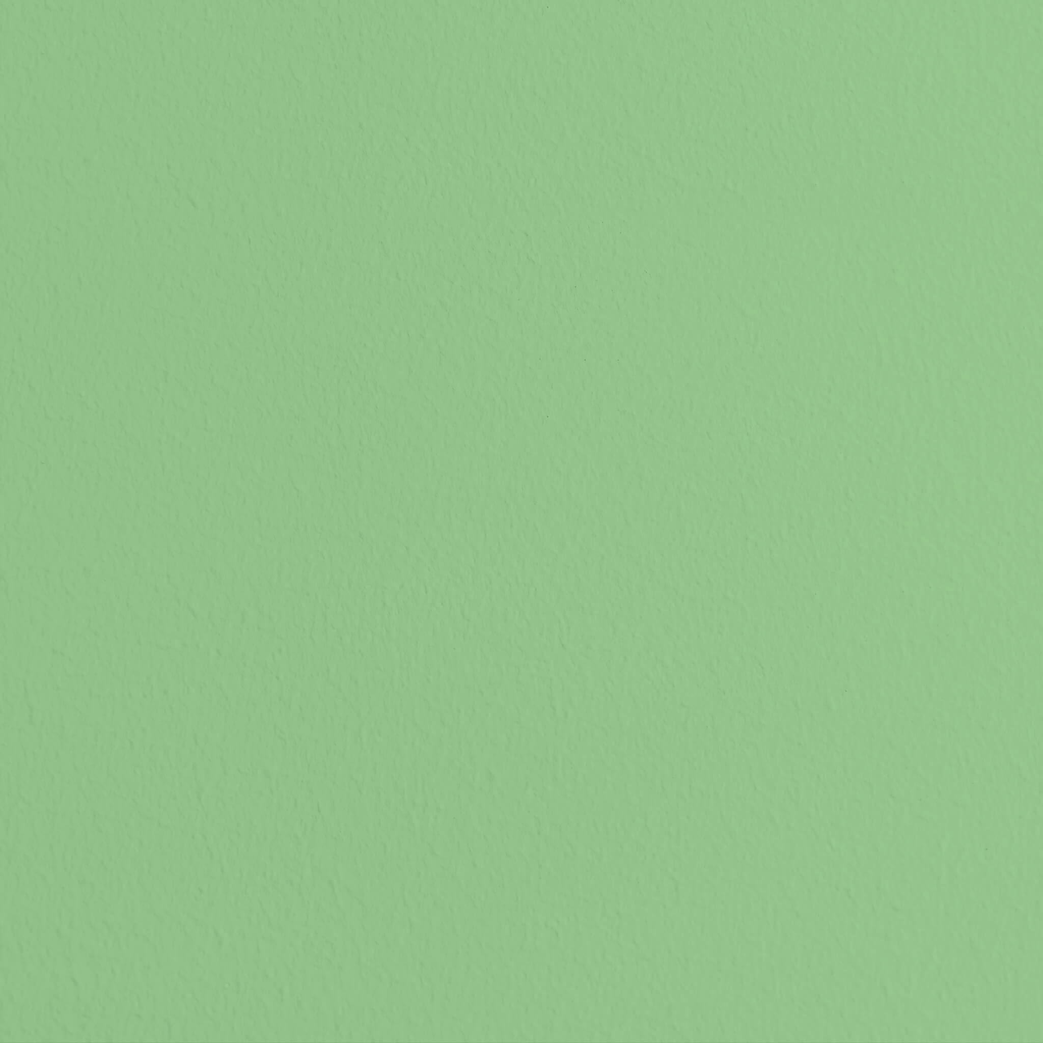 MissPompadour Groen met Appel - Afwasbare muurverf 2.5L