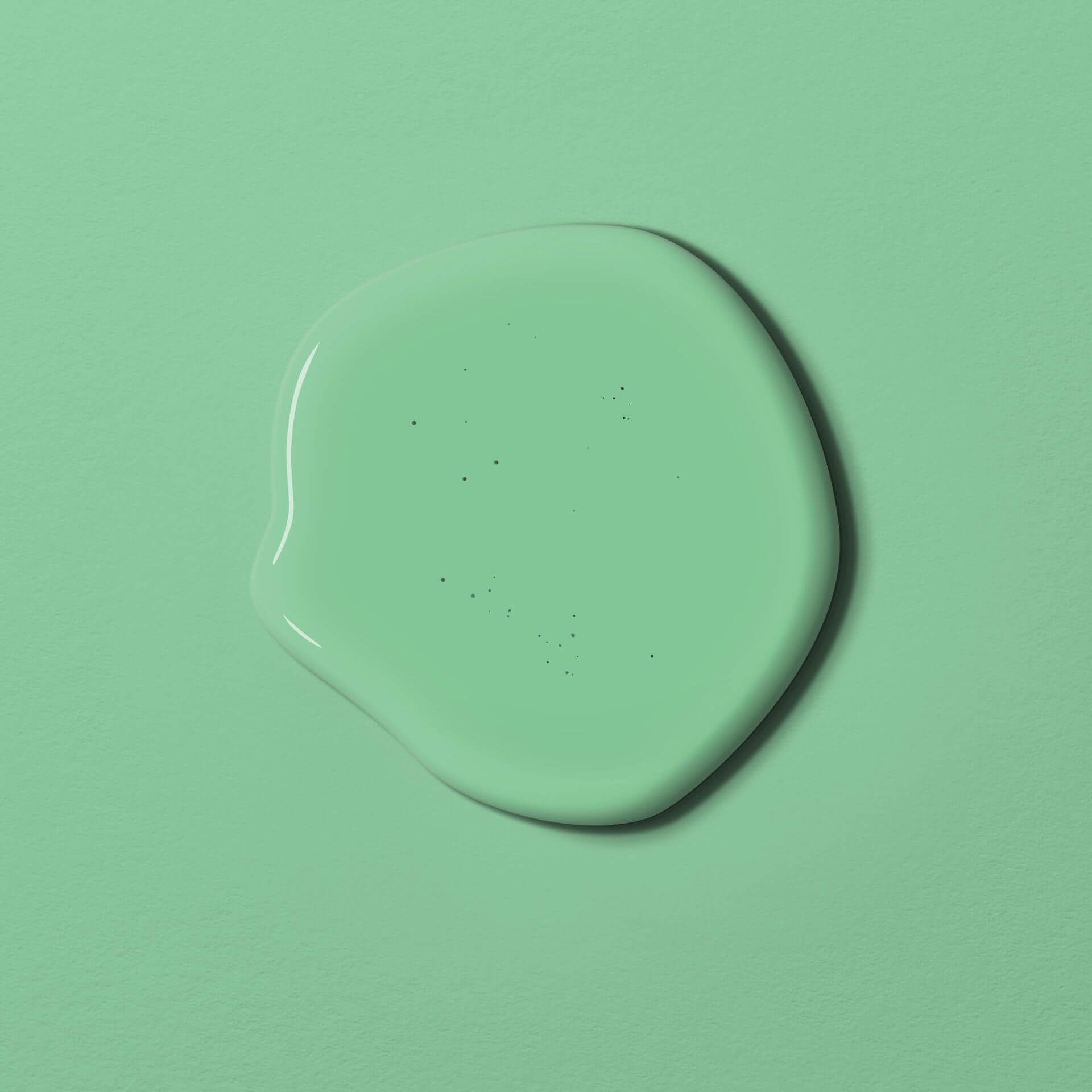 MissPompadour Green with Mint - The Valuable Wall Paint 1L