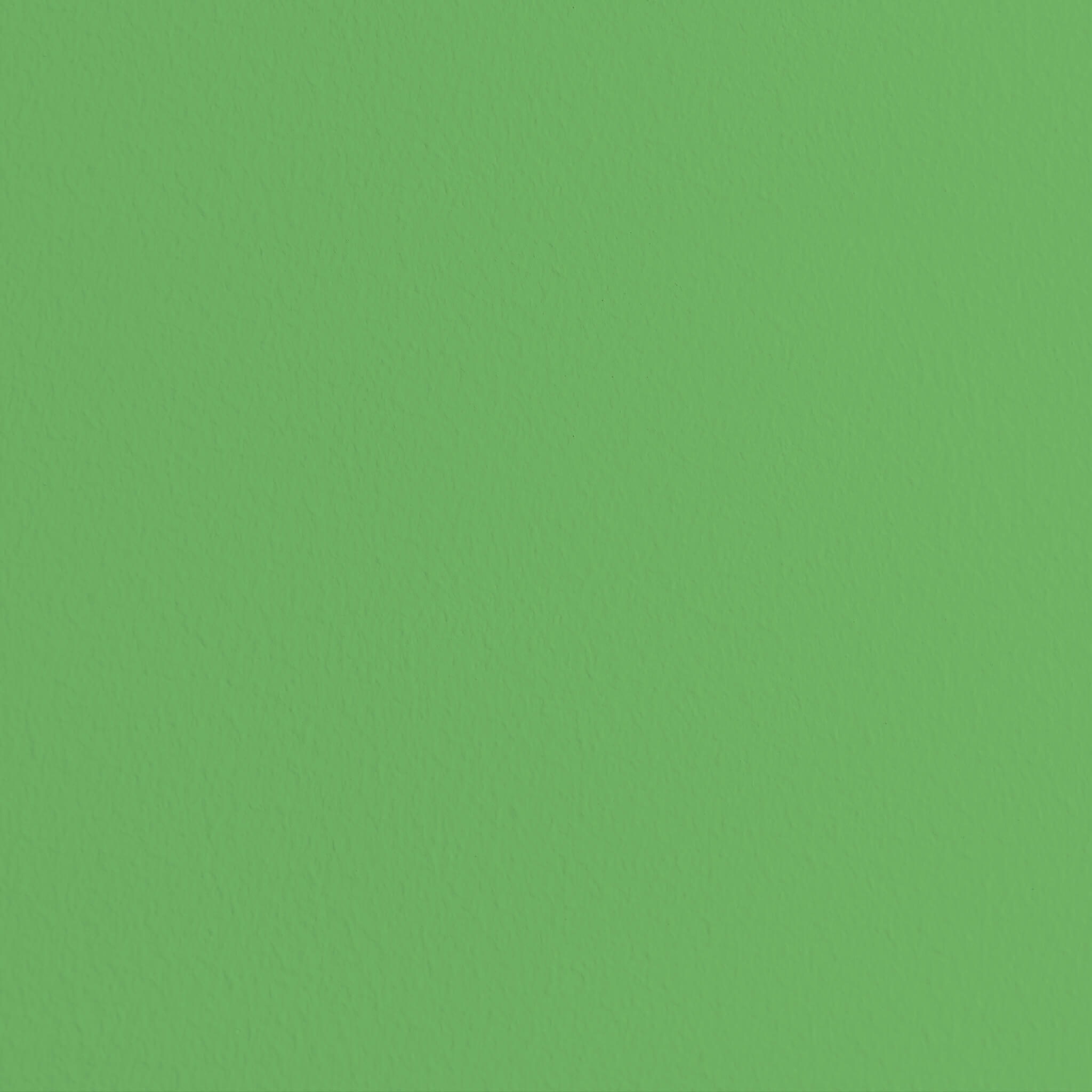MissPompadour Green with Frog - Eggshell Varnish 1L