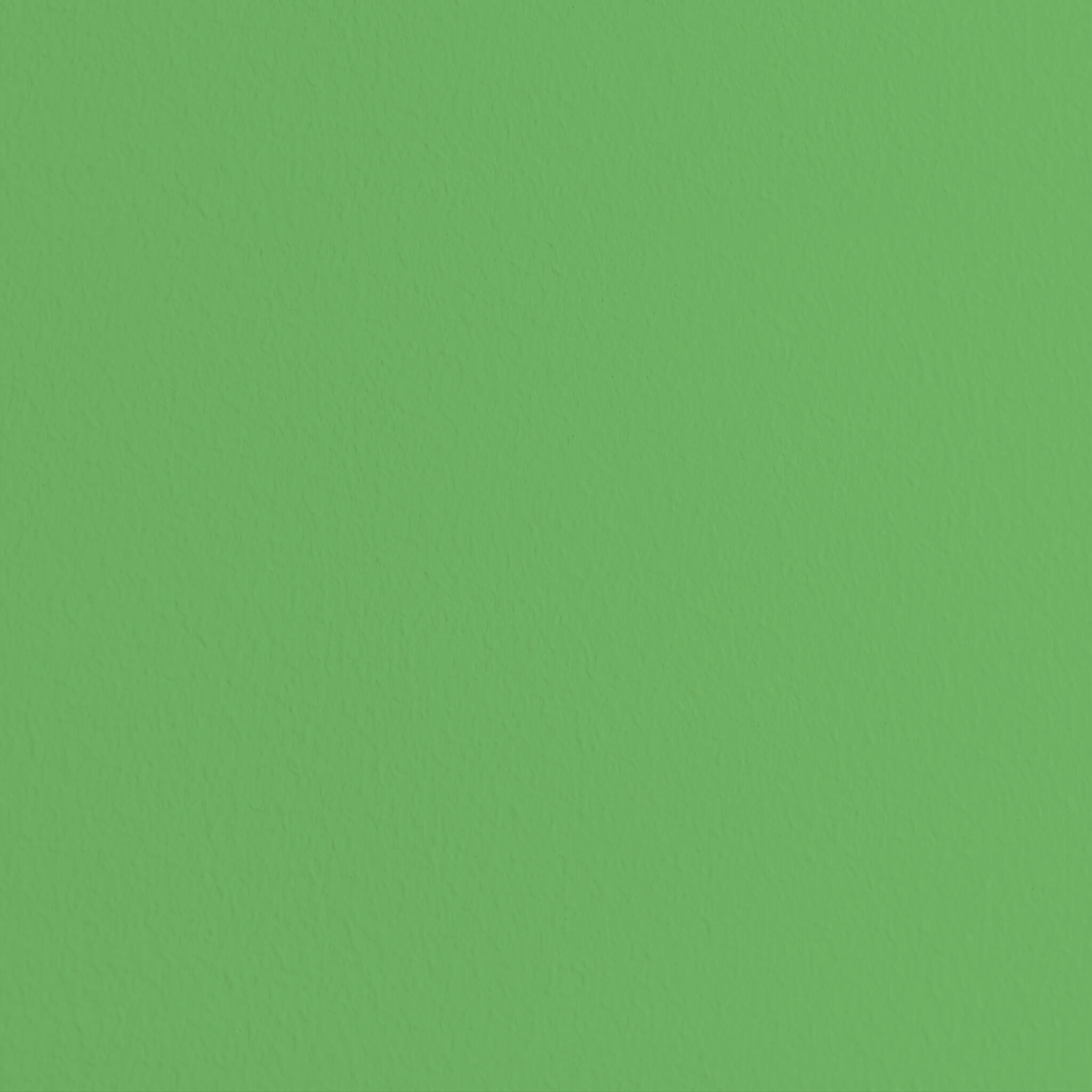 MissPompadour Green with Frog - The Functional Wall Paint 1L