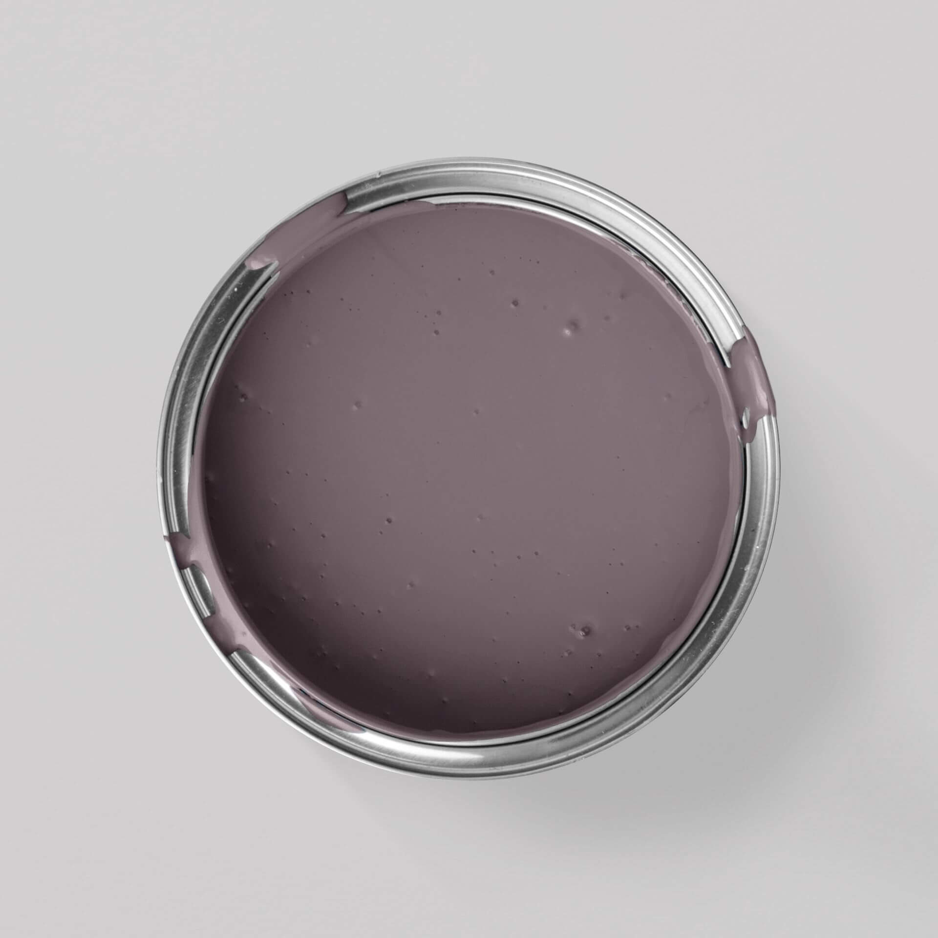 MissPompadour Purple with Blueberry - The Valuable Wall Paint 1L