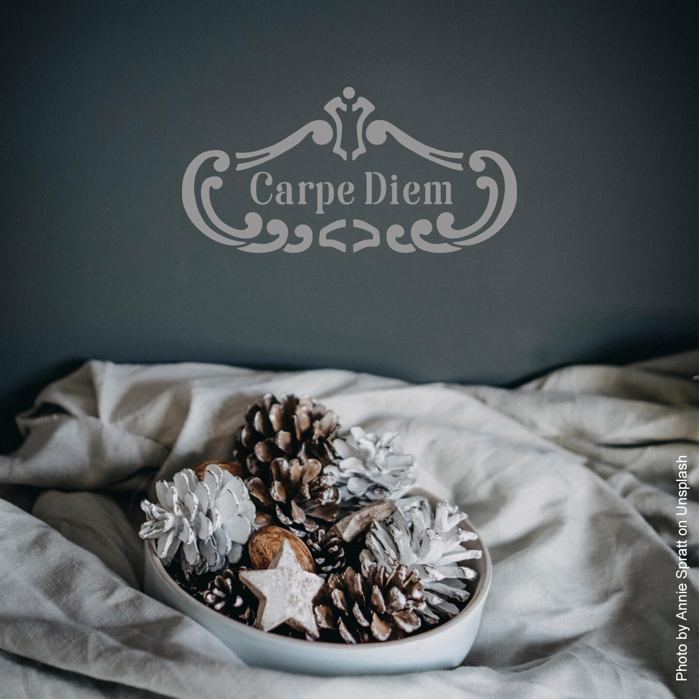 MissPompadour Kreativ Schablone Carpe Diem