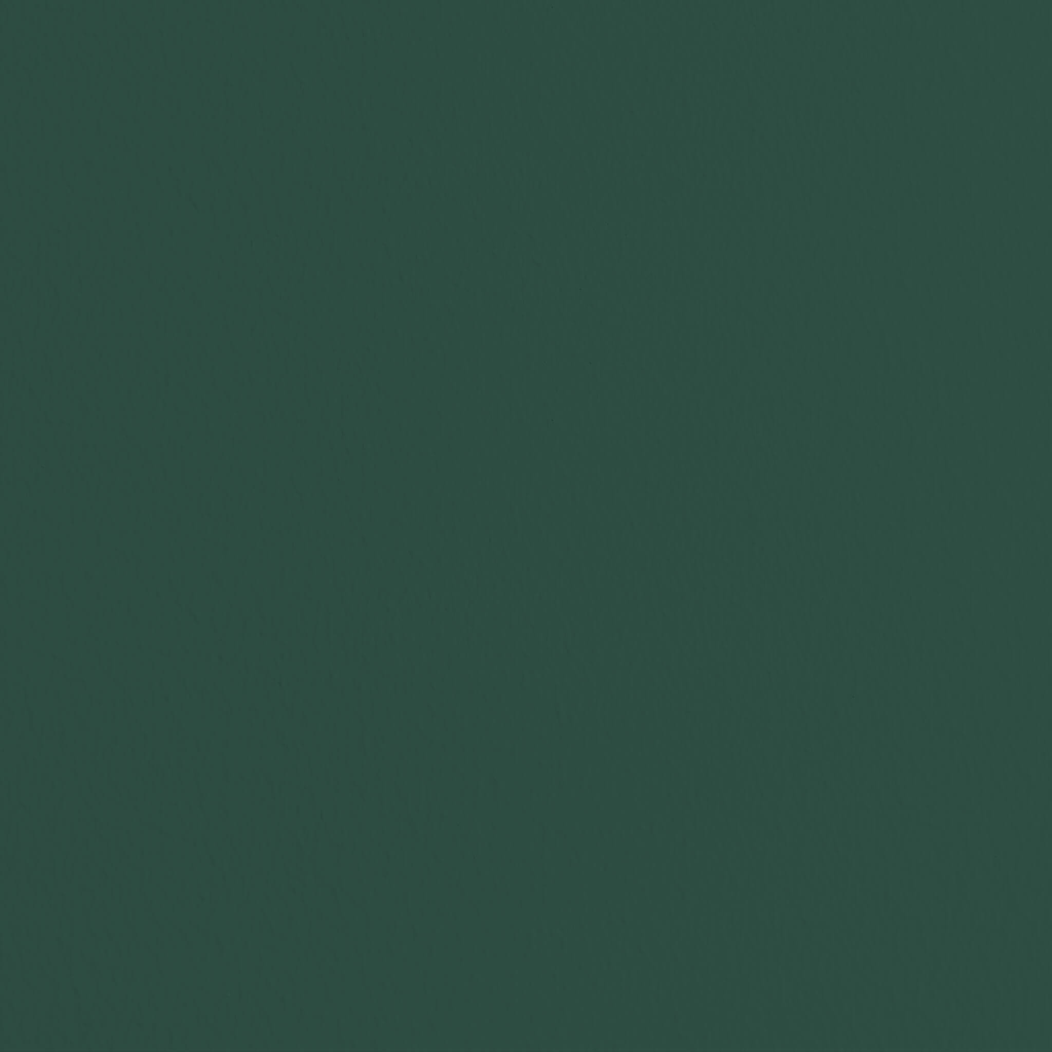 MissPompadour Green with Forest - The Valuable Wall Paint 1L