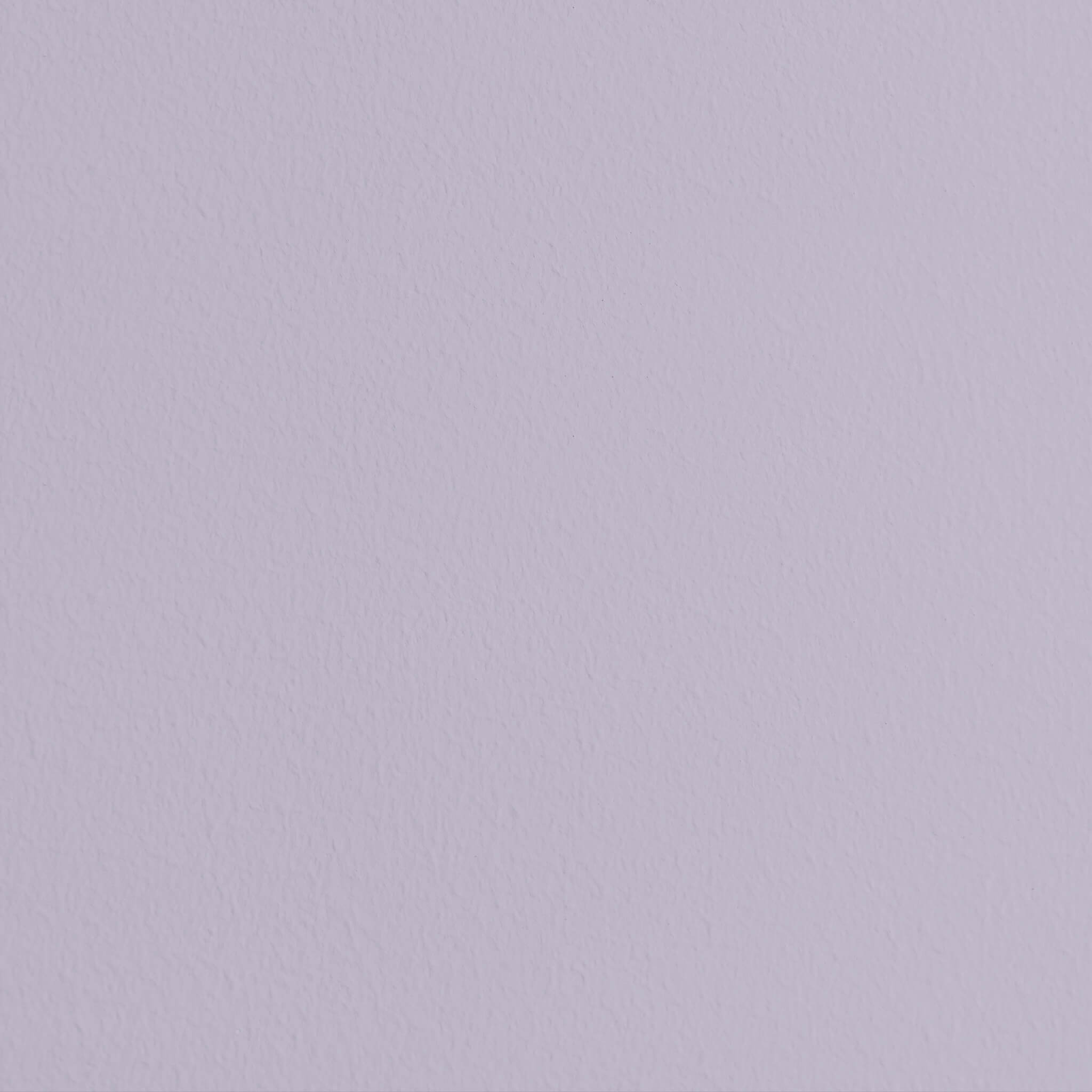 MissPompadour Purple with Lavender - The Valuable Wall Paint 1L