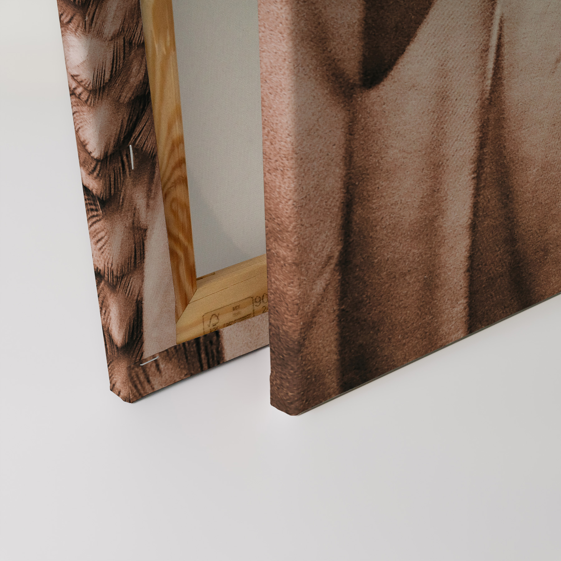 Rosa Federn Leinwandbild - 60 x 90 cm