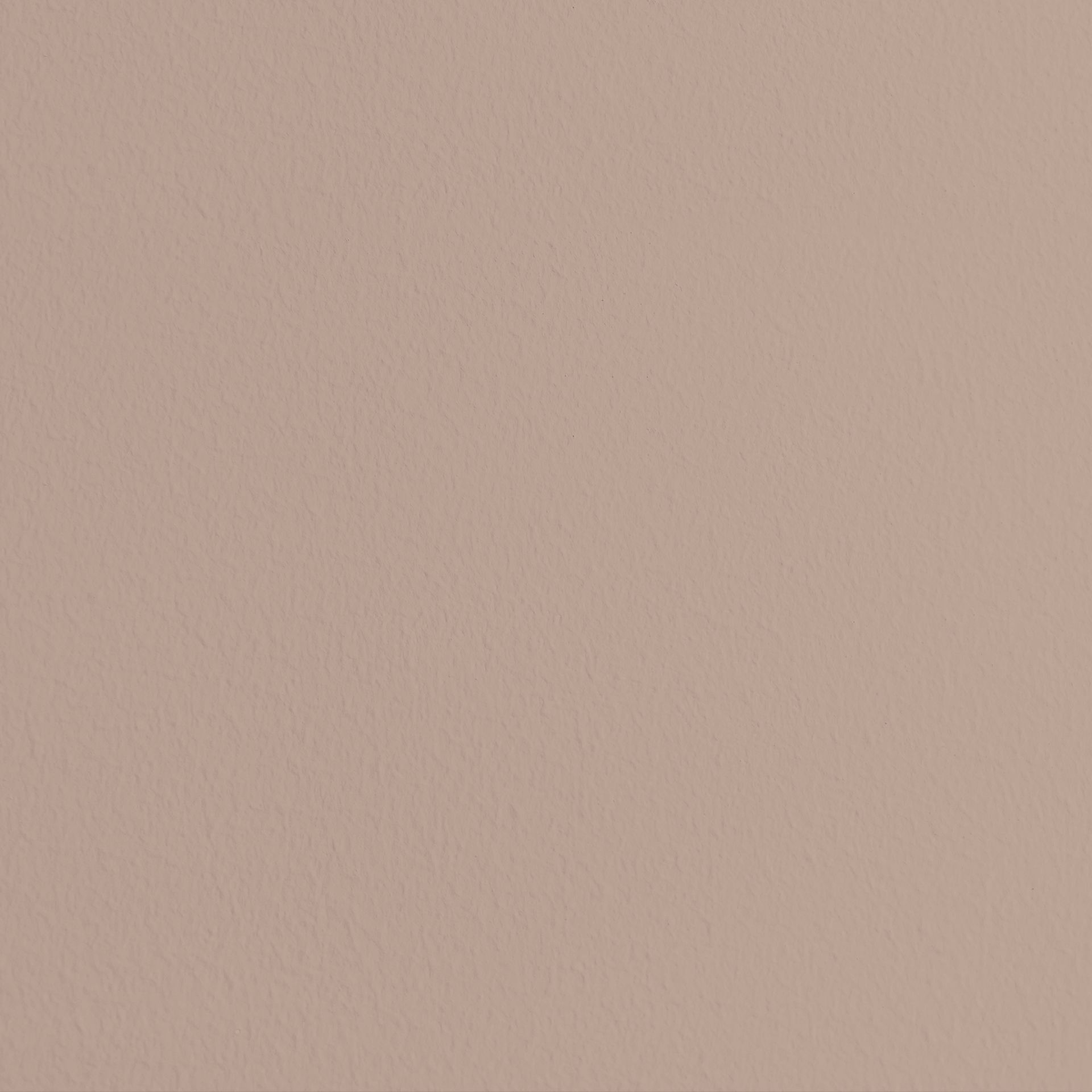 Paint Preview Image: Close-up of a wall surface painted with MissPompadour Brown with Choc