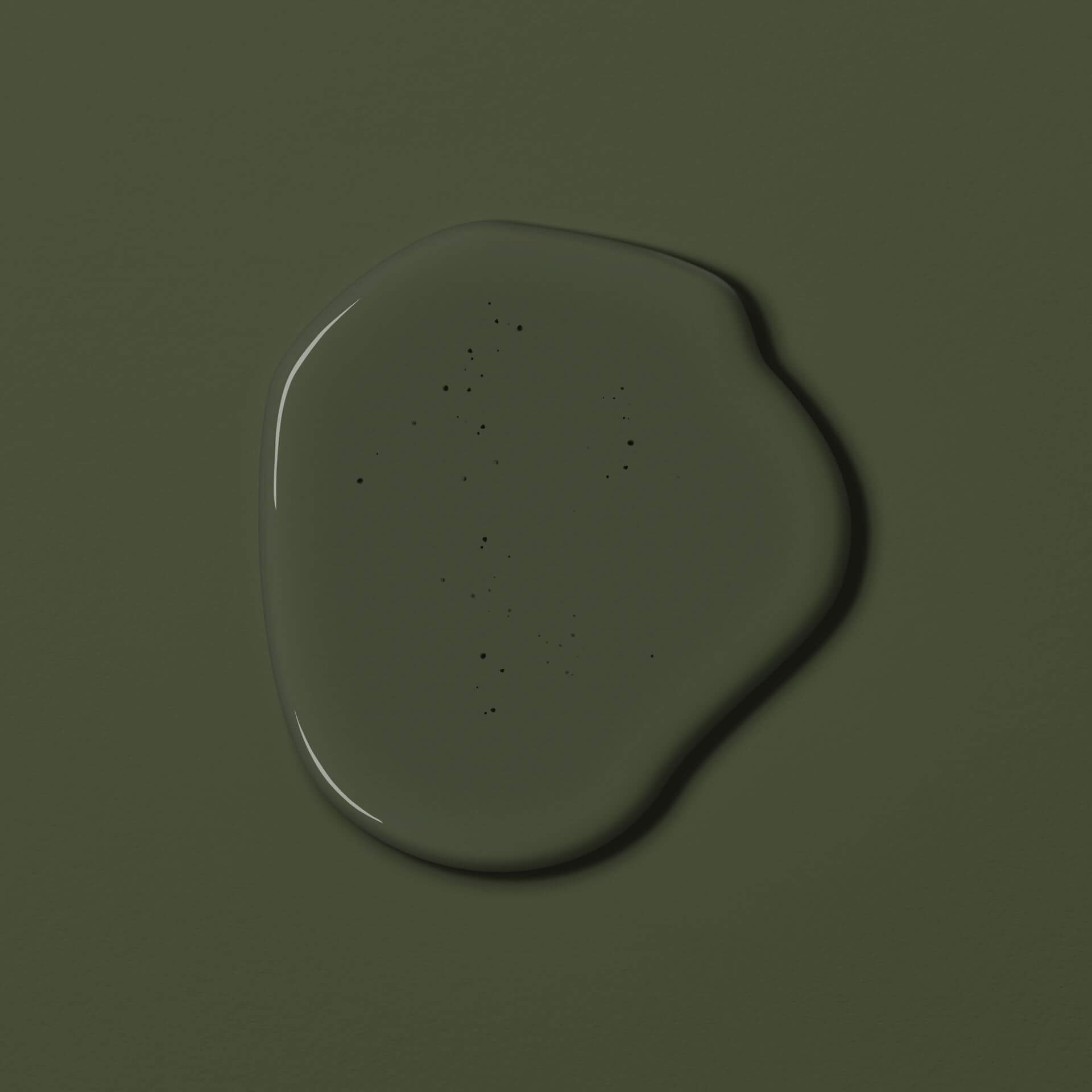 MissPompadour Green with Mud - The Valuable Wall Paint 1L