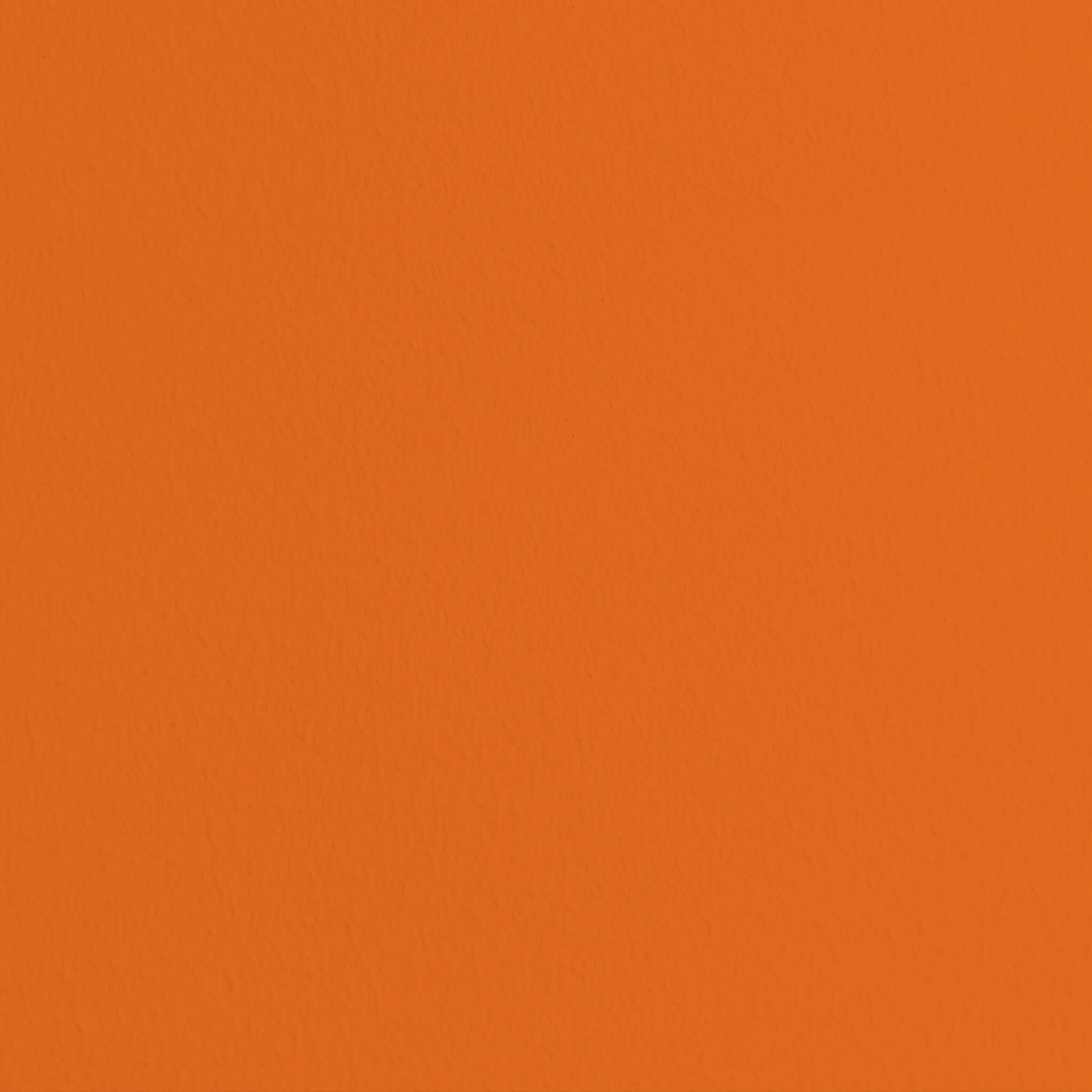 MissPompadour Oranje met Mandarijn - Duurzame eco muurverf 1L