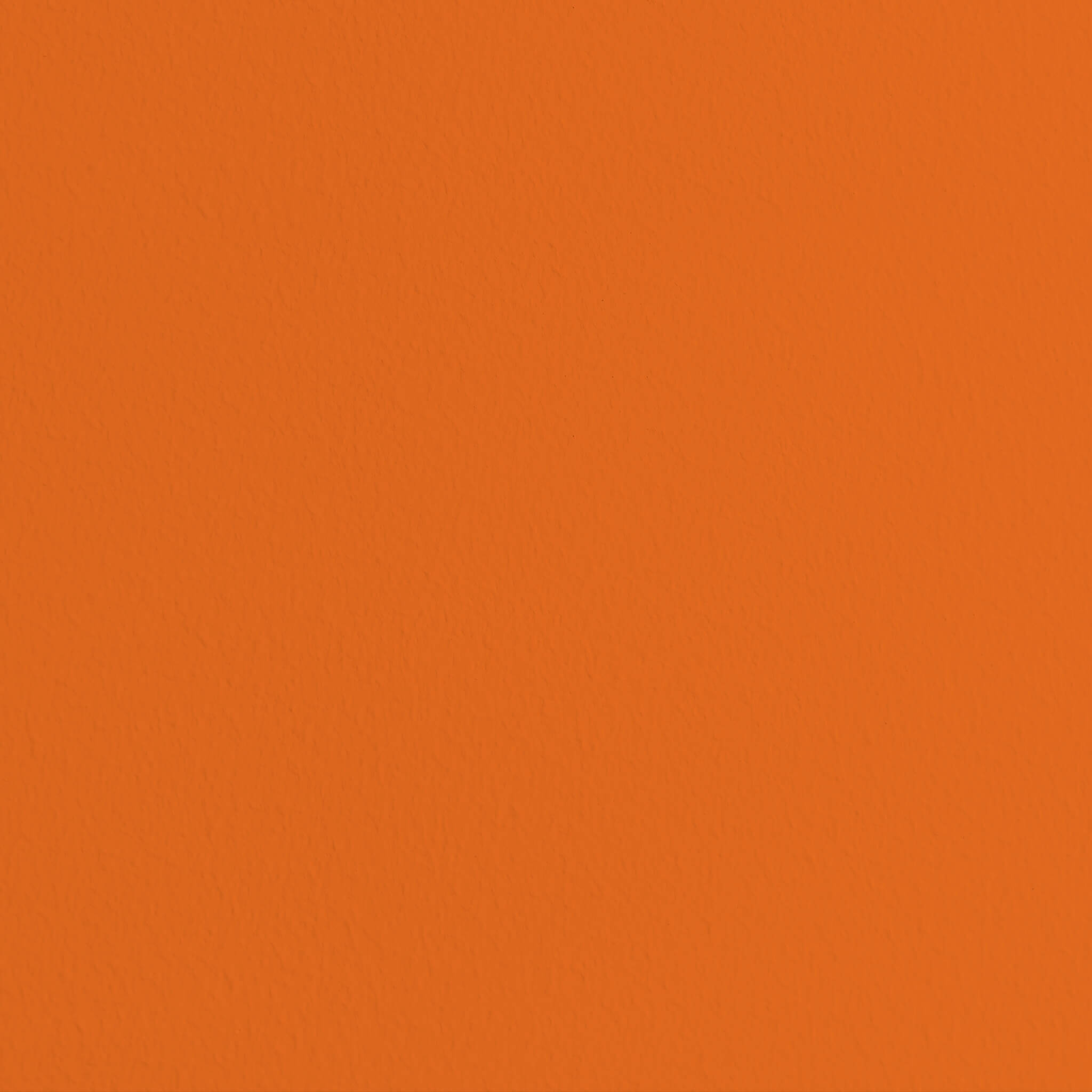 MissPompadour Orange with Tangerine - The Valuable Wall Paint 1L