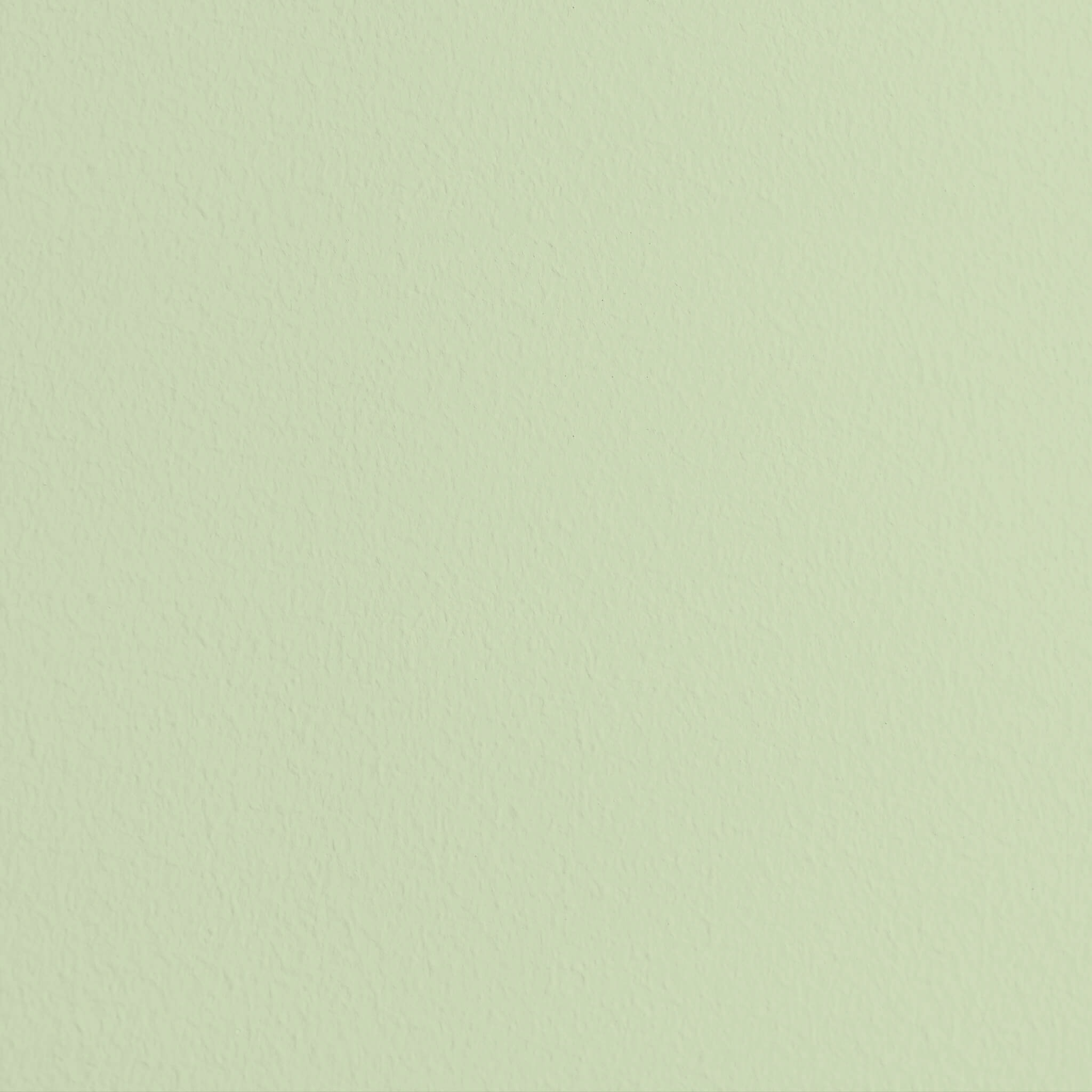 MissPompadour Green with Birch - Eggshell Varnish 1L