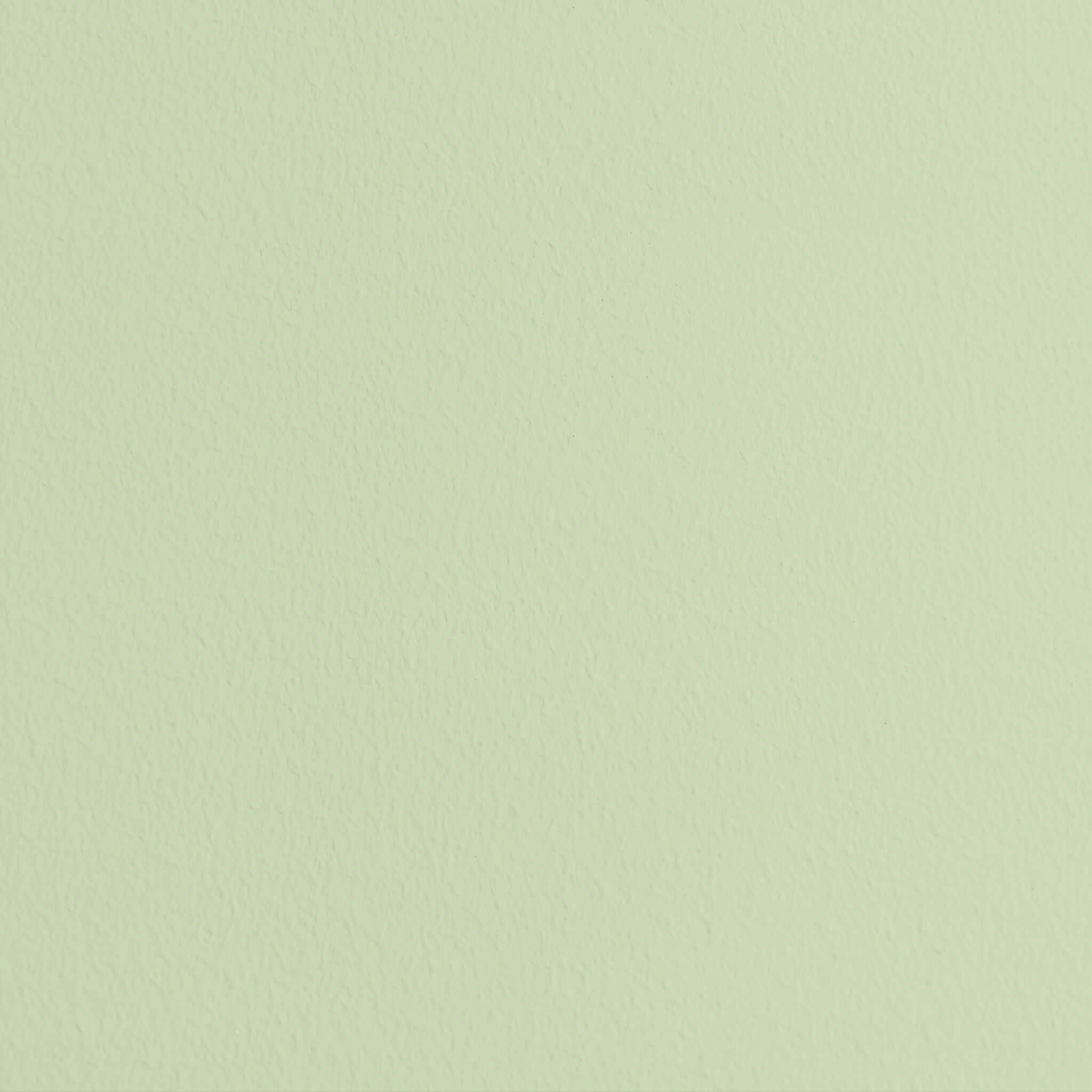 MissPompadour Green with Birch - The Valuable Wall Paint 2.5L