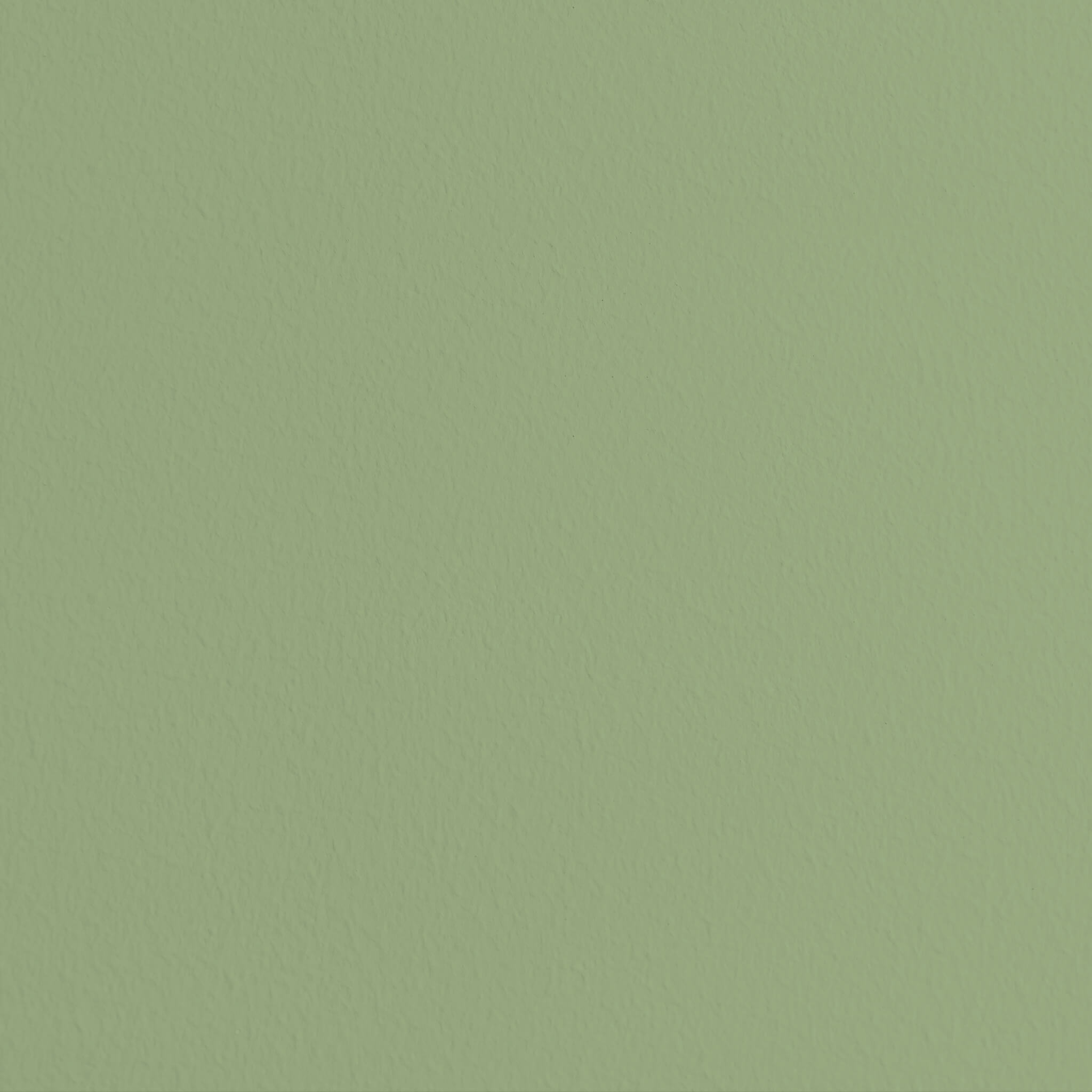 MissPompadour Green with Matcha - The Valuable Wall Paint 1L