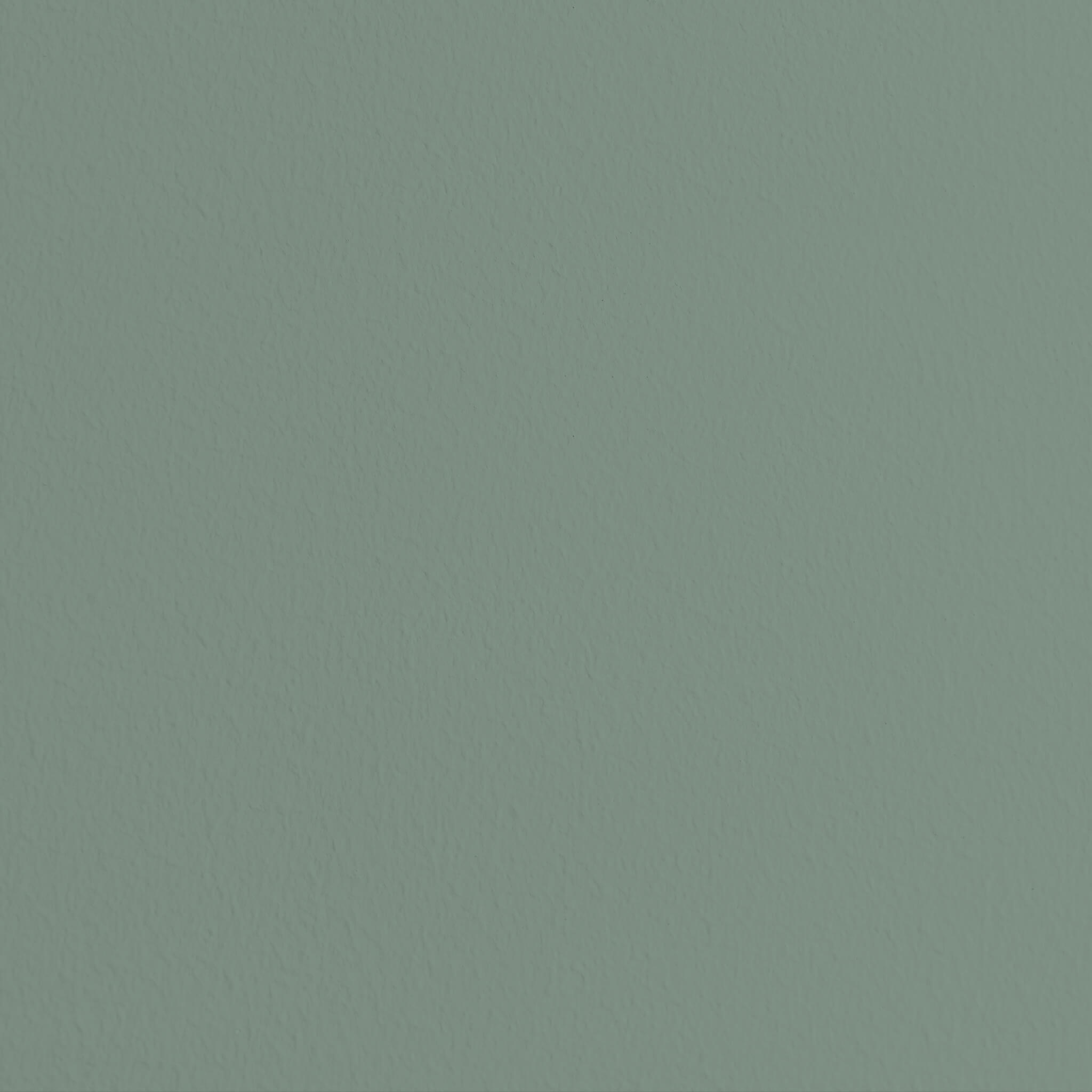 MissPompadour Green with Grey - The Functional Wall Paint 1L