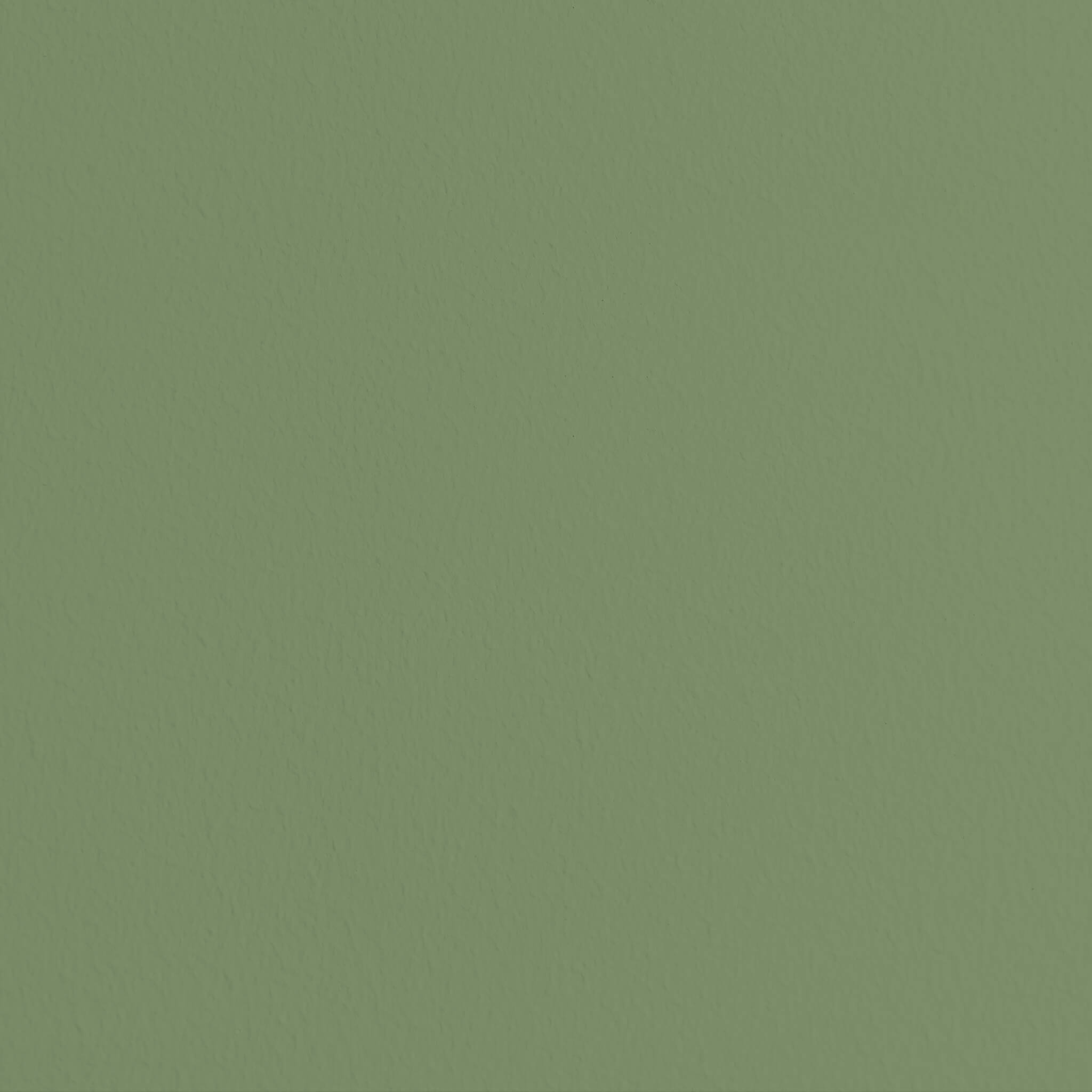 MissPompadour Grün mit Olive - Sanft & Matt 1L