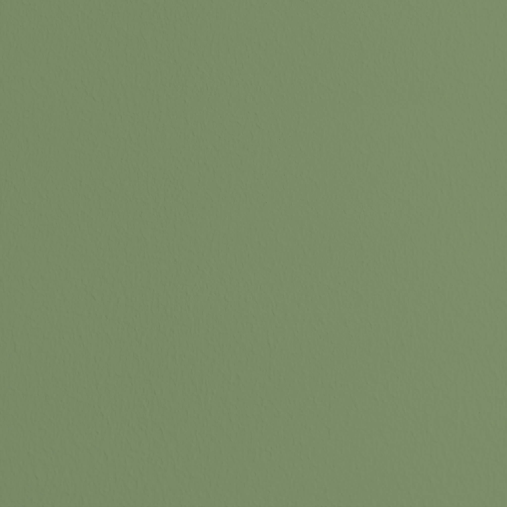 MissPompadour Green with Olive - The Functional Wall Paint 1L