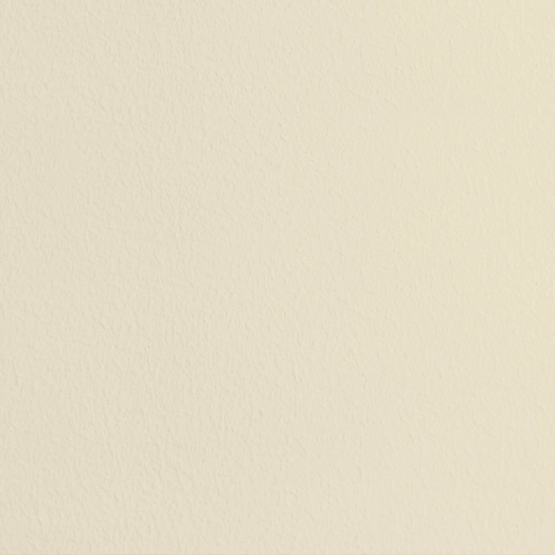 MissPompadour White with Ginger - The Valuable Wall Paint 1L