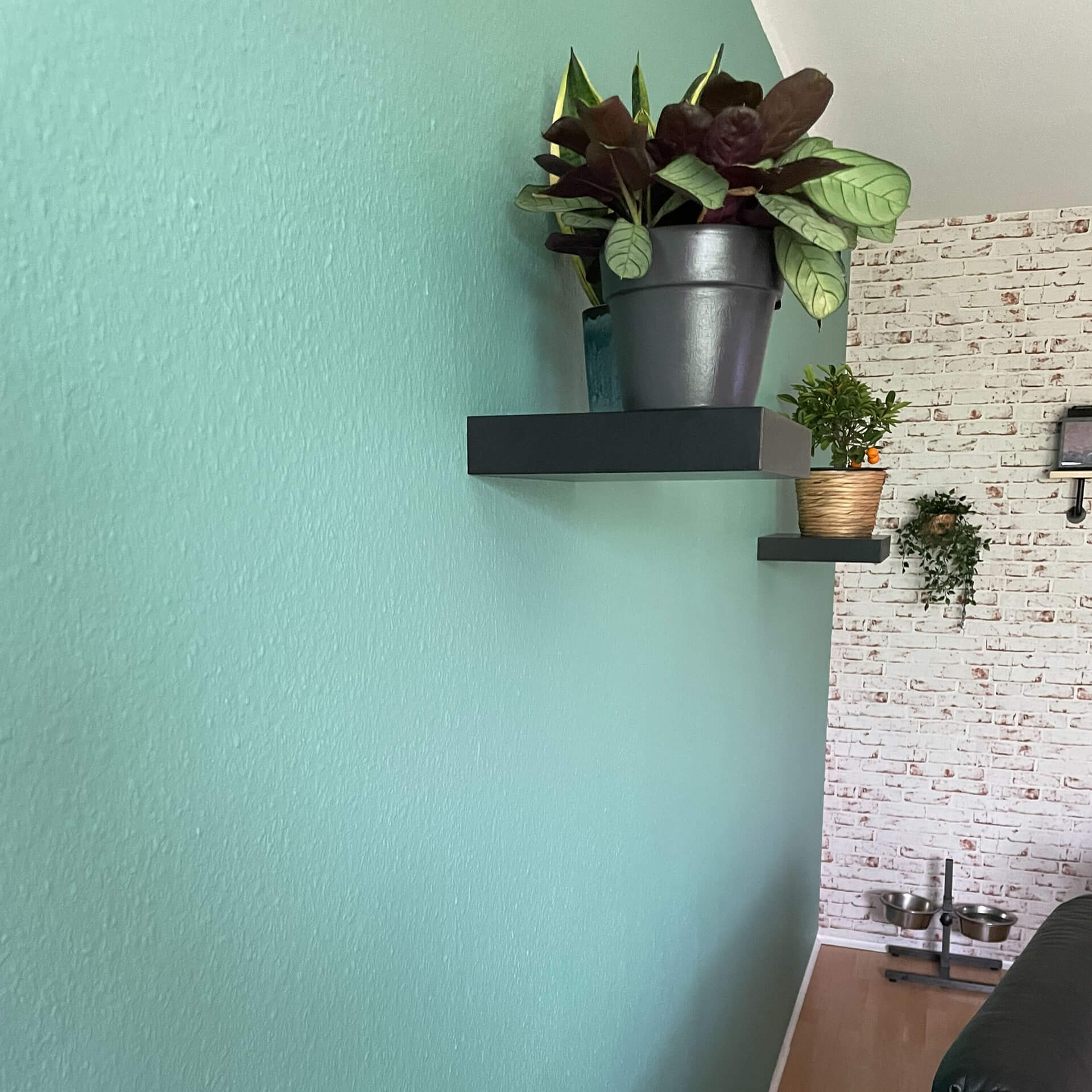 MissPompadour Green with Jade - The Valuable Wall Paint 1L