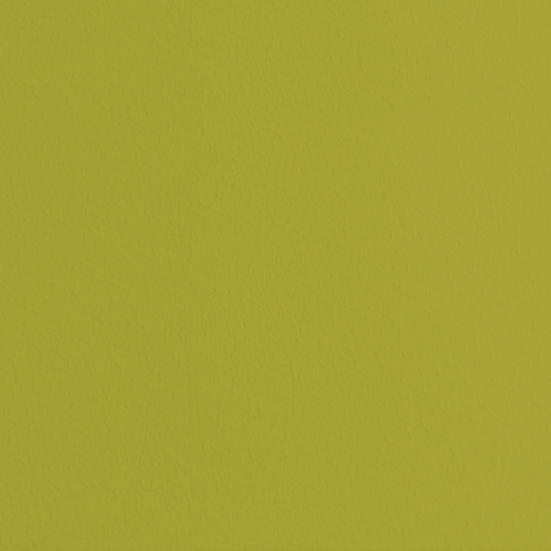 MissPompadour Green with Pistachio - The Valuable Wall Paint 1L