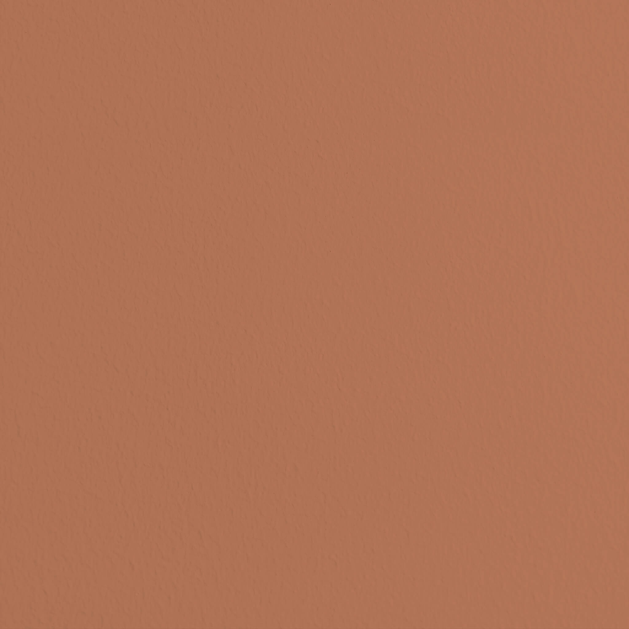 MissPompadour Brown with Terracotta - The Functional Wall Paint 1L