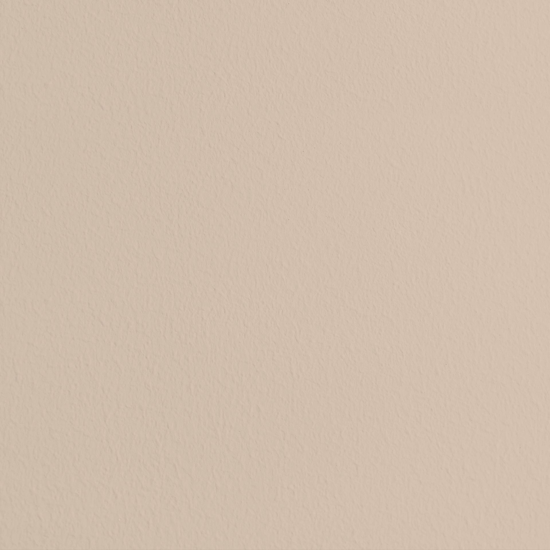 Farbenvorschau-Bild: Nahaufnahme einer Wandfläche gestrichen mit MissPompadour Beige mit Sand