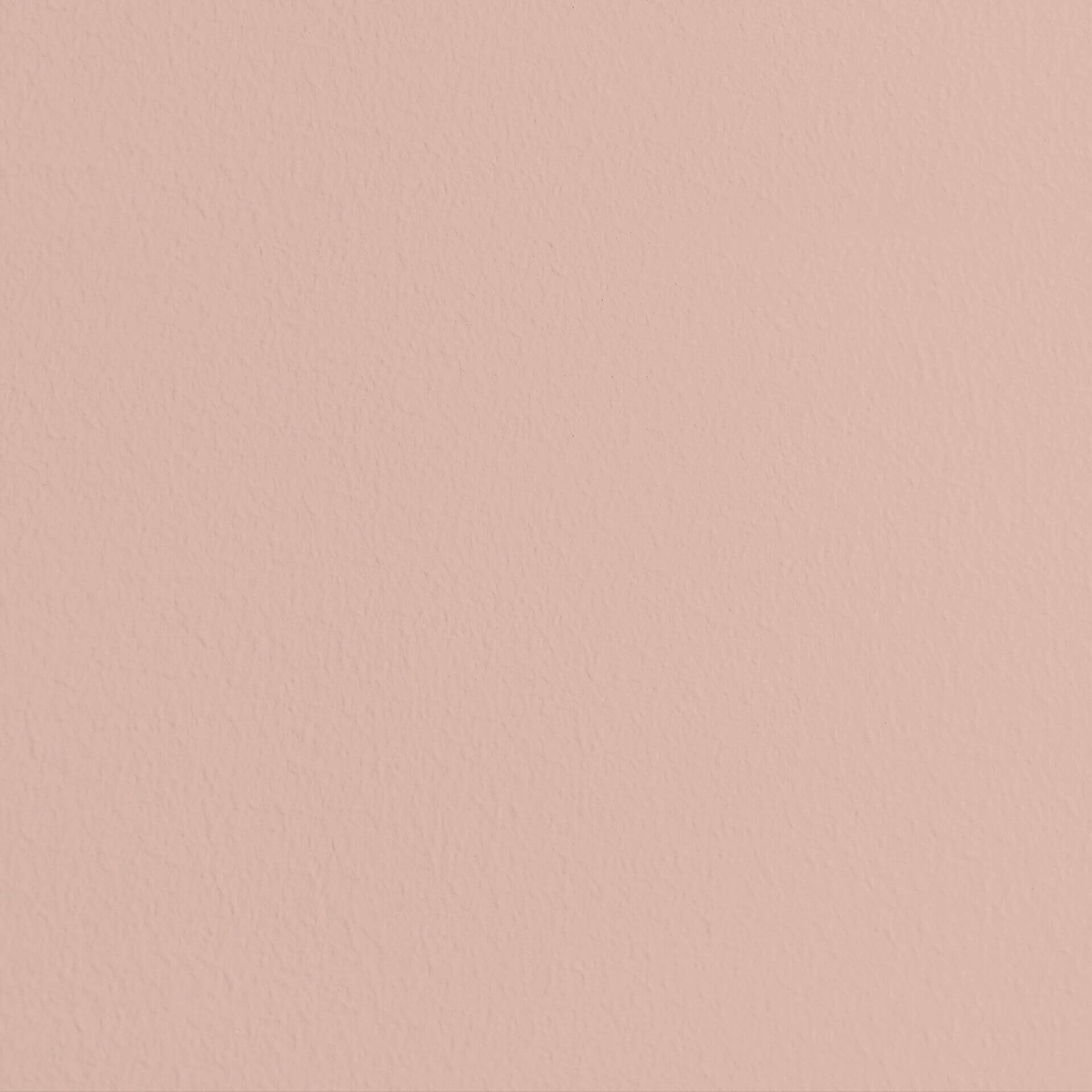 MissPompadour Rose with Marshmallow - The Valuable Wall Paint 1L
