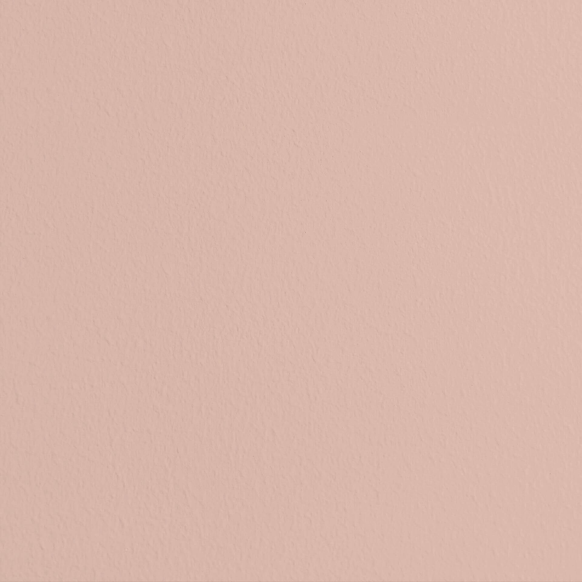 MissPompadour Rose avec Guimauve - Peinture murale lavable 1L