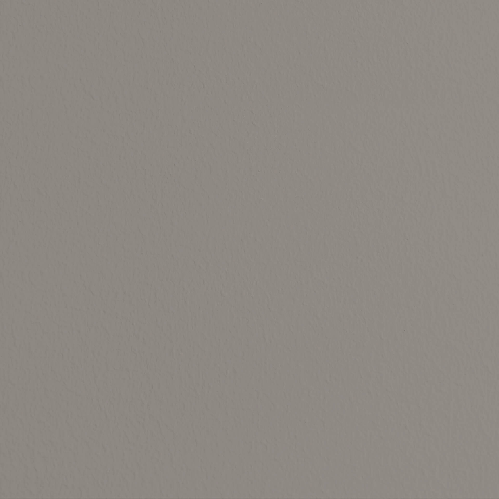 MissPompadour Grey with Brown - The Functional Wall Paint 1L