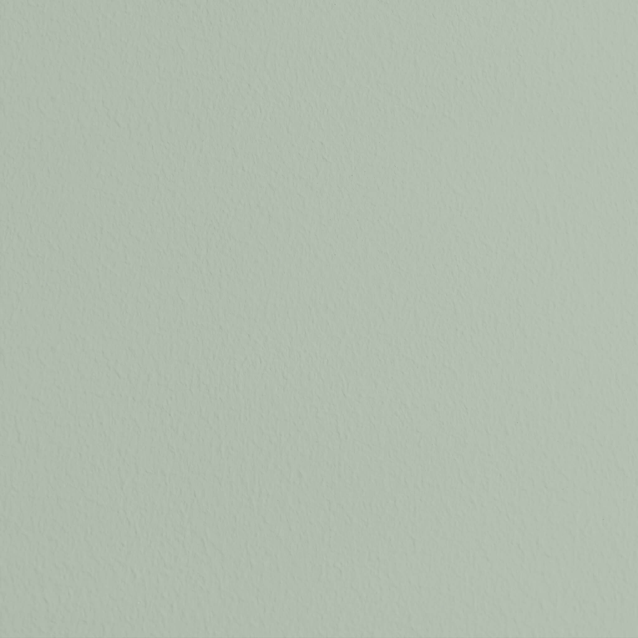 MissPompadour Green with Sage - The Functional Wall Paint 1L