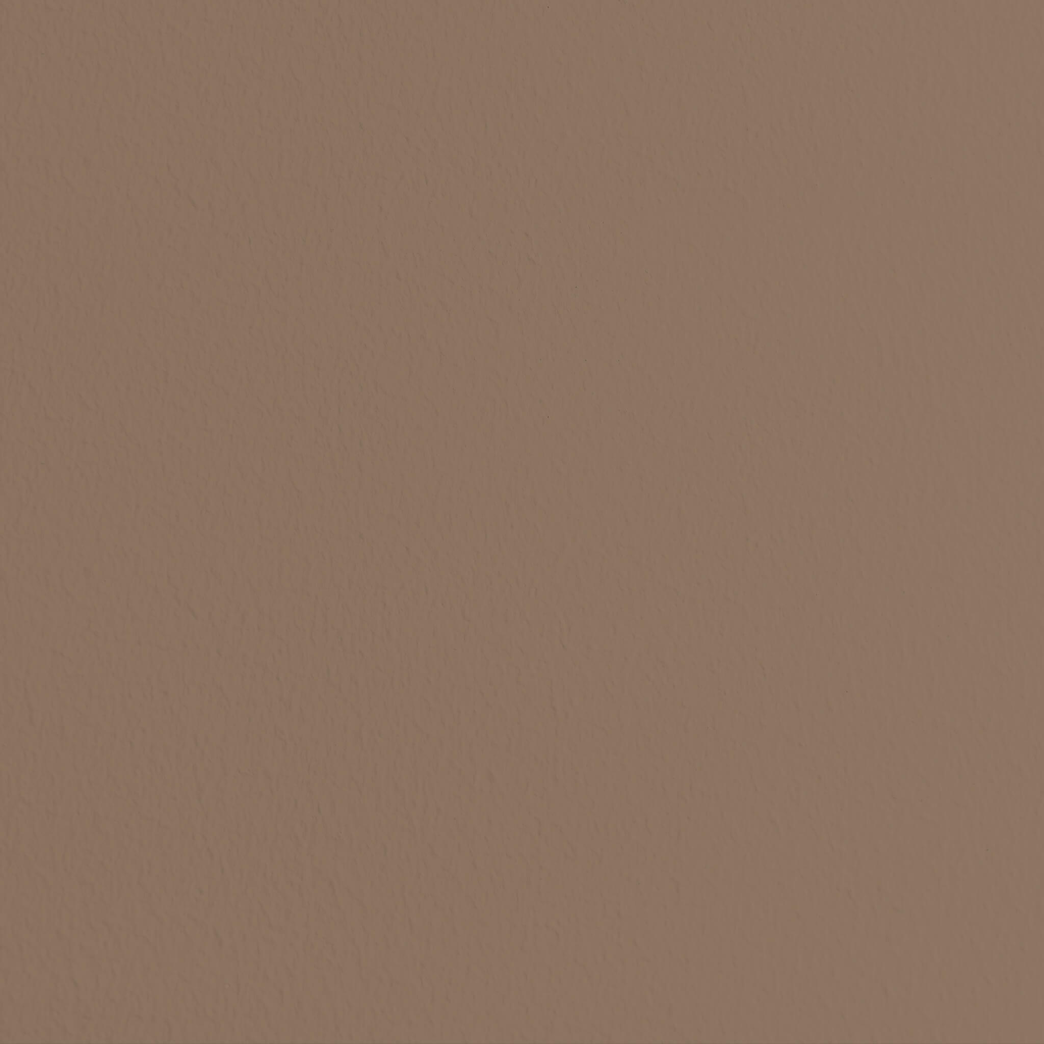 MissPompadour Brown with Nougat - The Valuable Wall Paint 1L