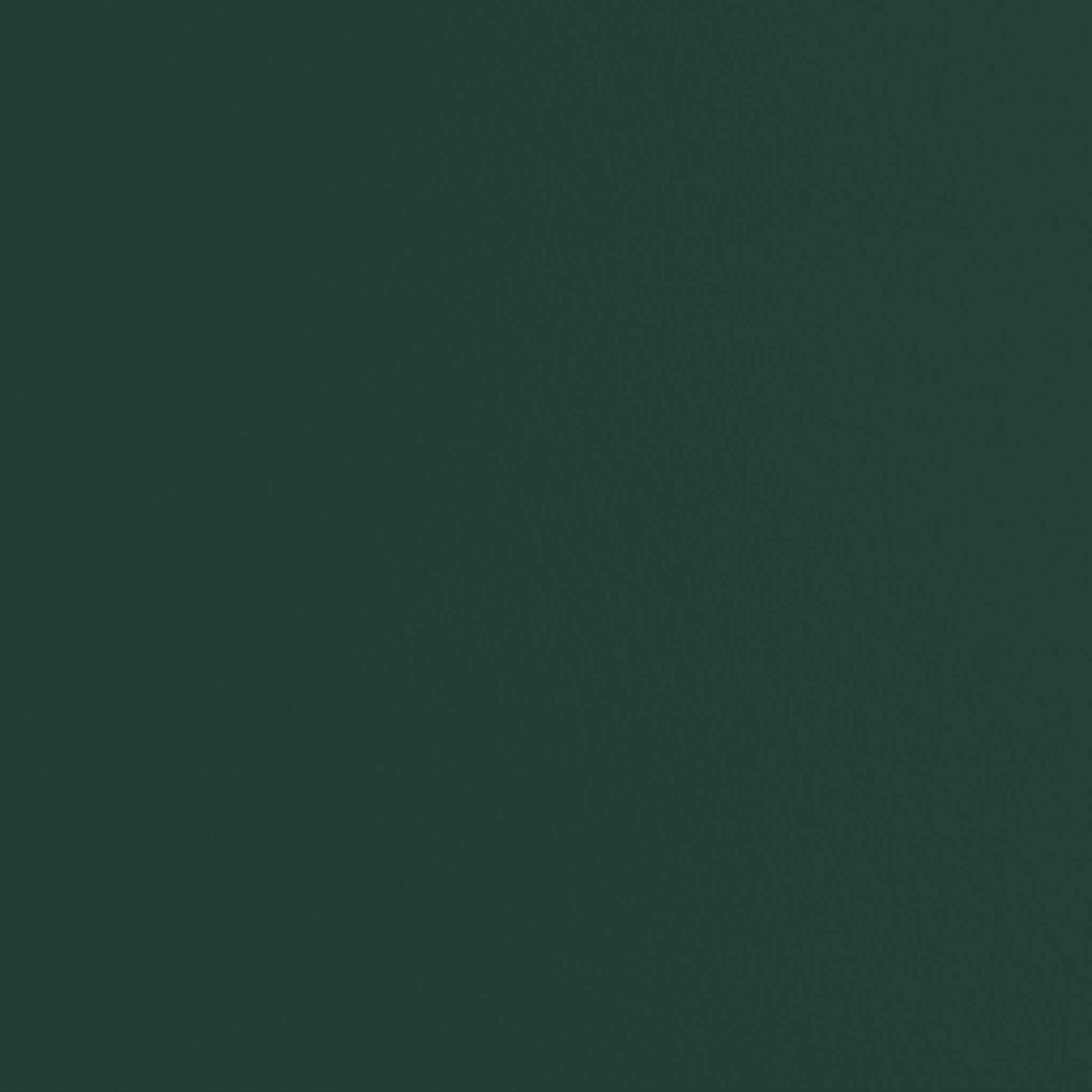 Mylands FTT 013 Dark Green - Wood & Metal Eggshell / Lack Seidenmatt, 2.5L