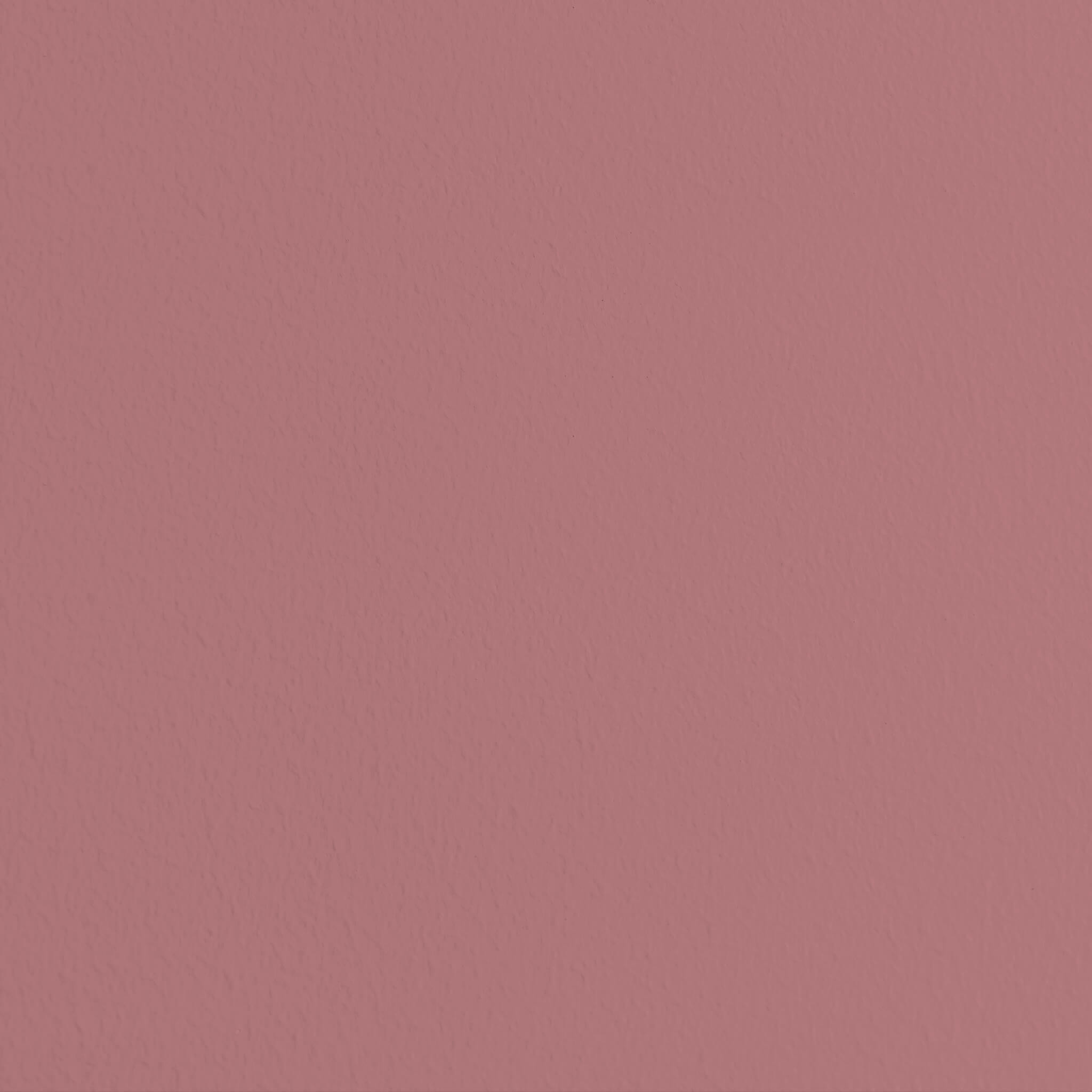 MissPompadour Rose avec Gris - Peinture murale lavable 1L