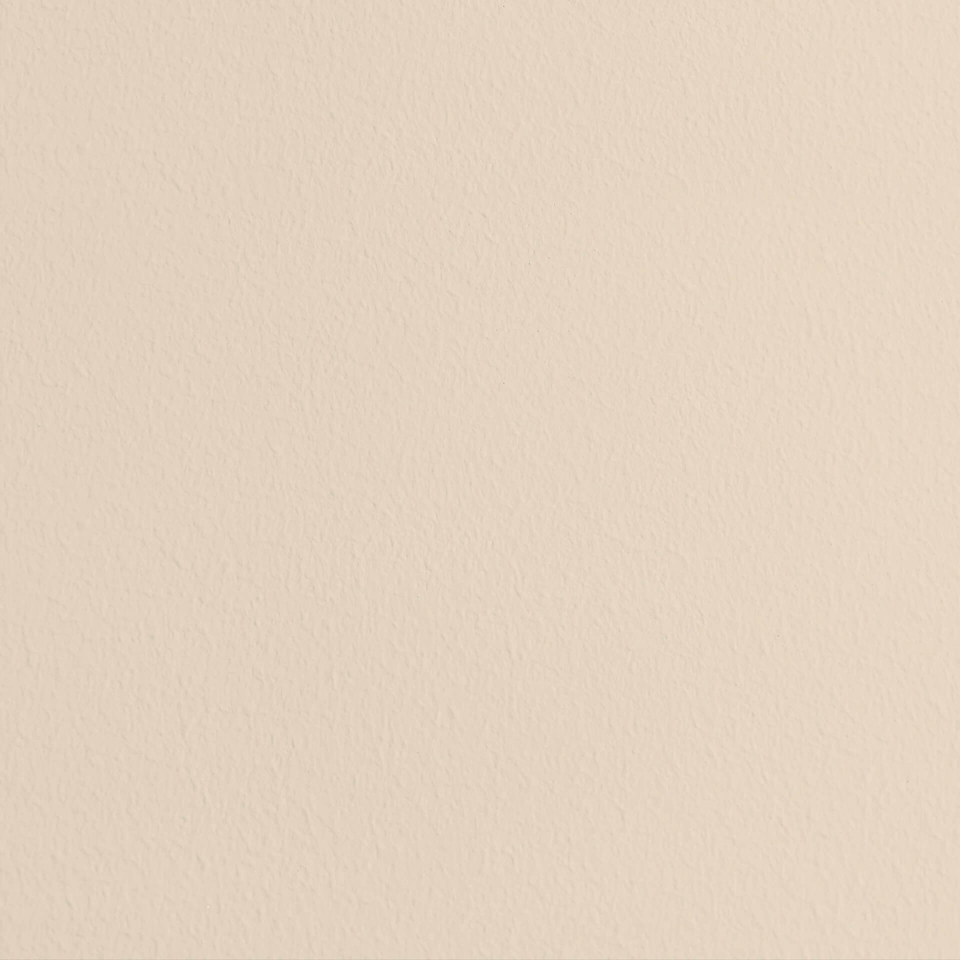 MissPompadour Beige with Peach - The Functional Wall Paint 1L