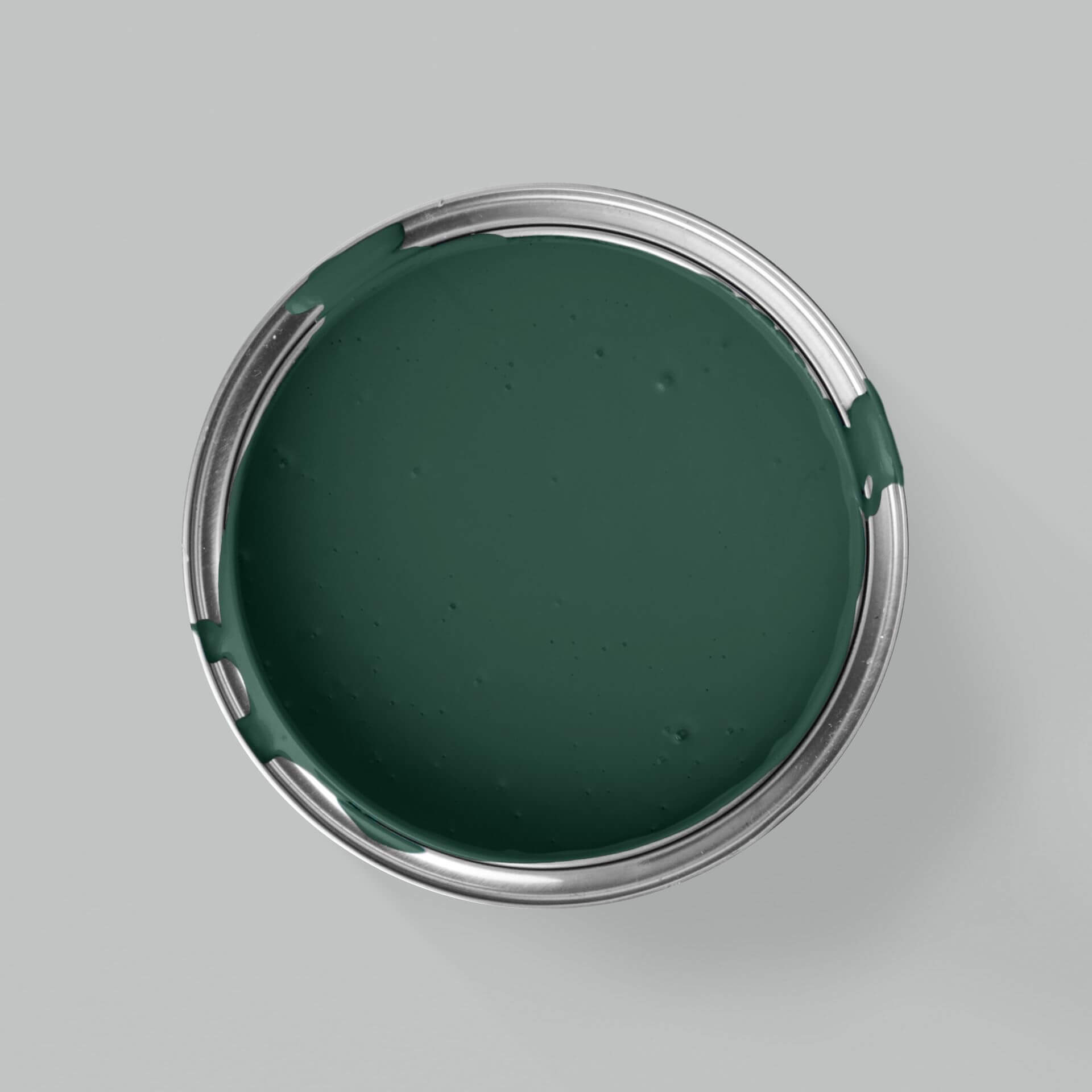 MissPompadour Green with Forest - The Valuable Wall Paint 1L