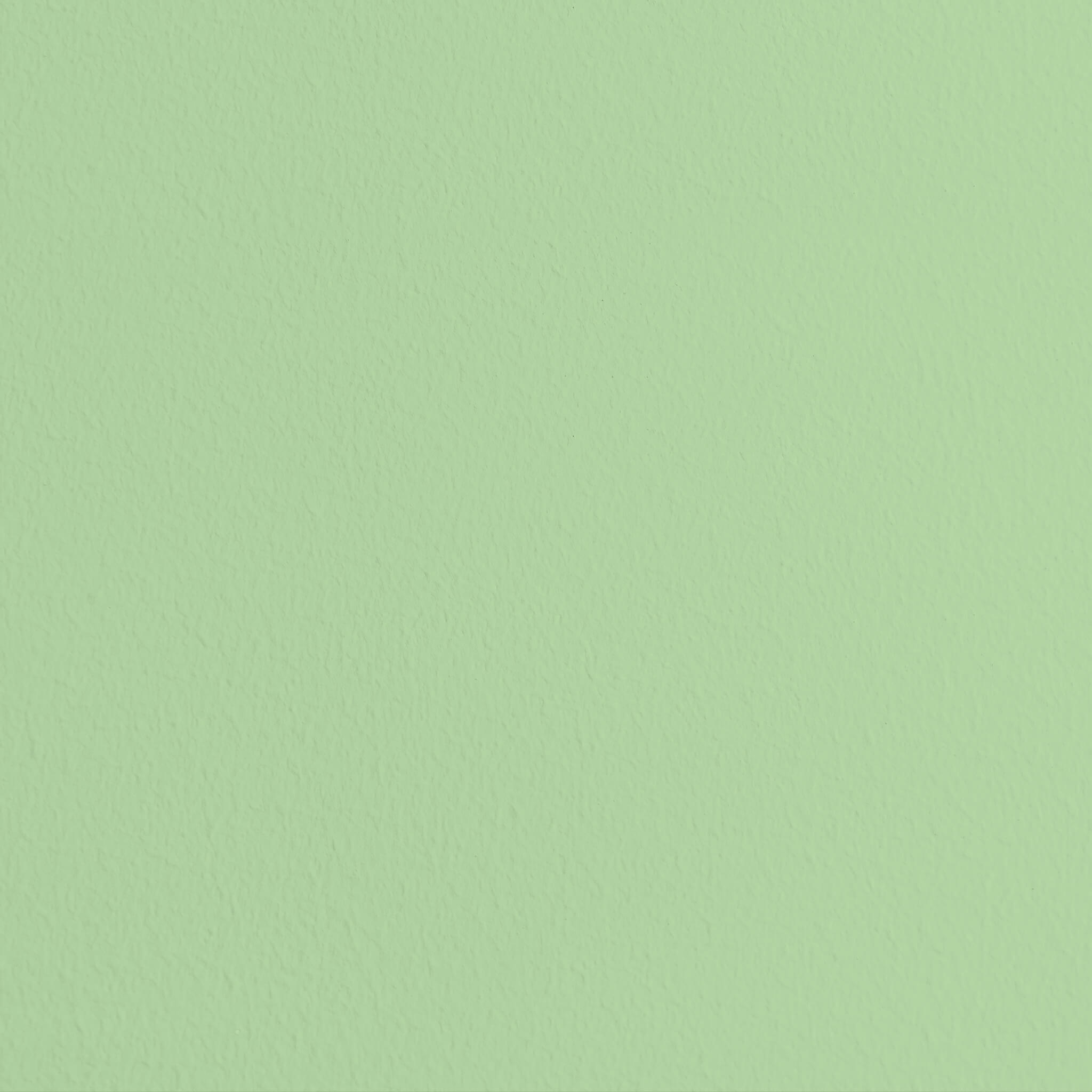 MissPompadour Grün mit Limette - Sanft & Matt 1L