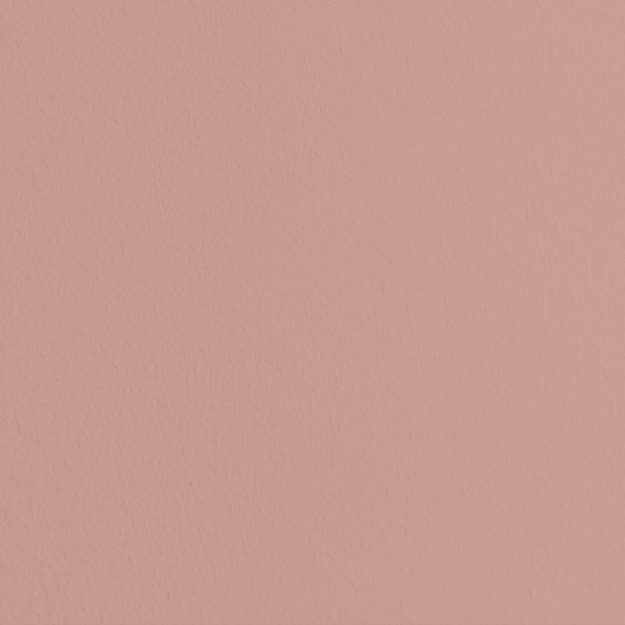 MissPompadour Rose avec Marron - Peinture murale lavable 1L