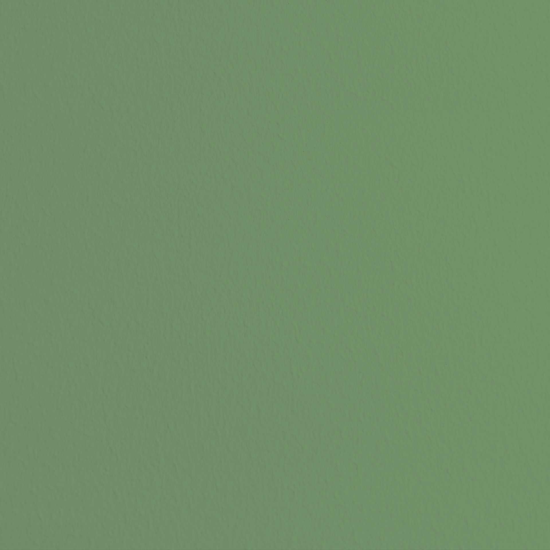 Image d'aperçu de peinture : Gros plan d'une surface murale peinte avec MissPompadour Vert avec Olive