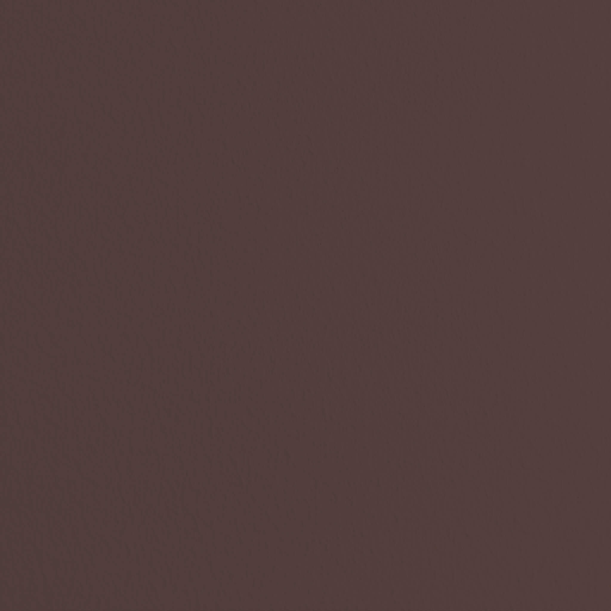 MissPompadour Bruin met Pure Chocolade - Matte lak 2.5L