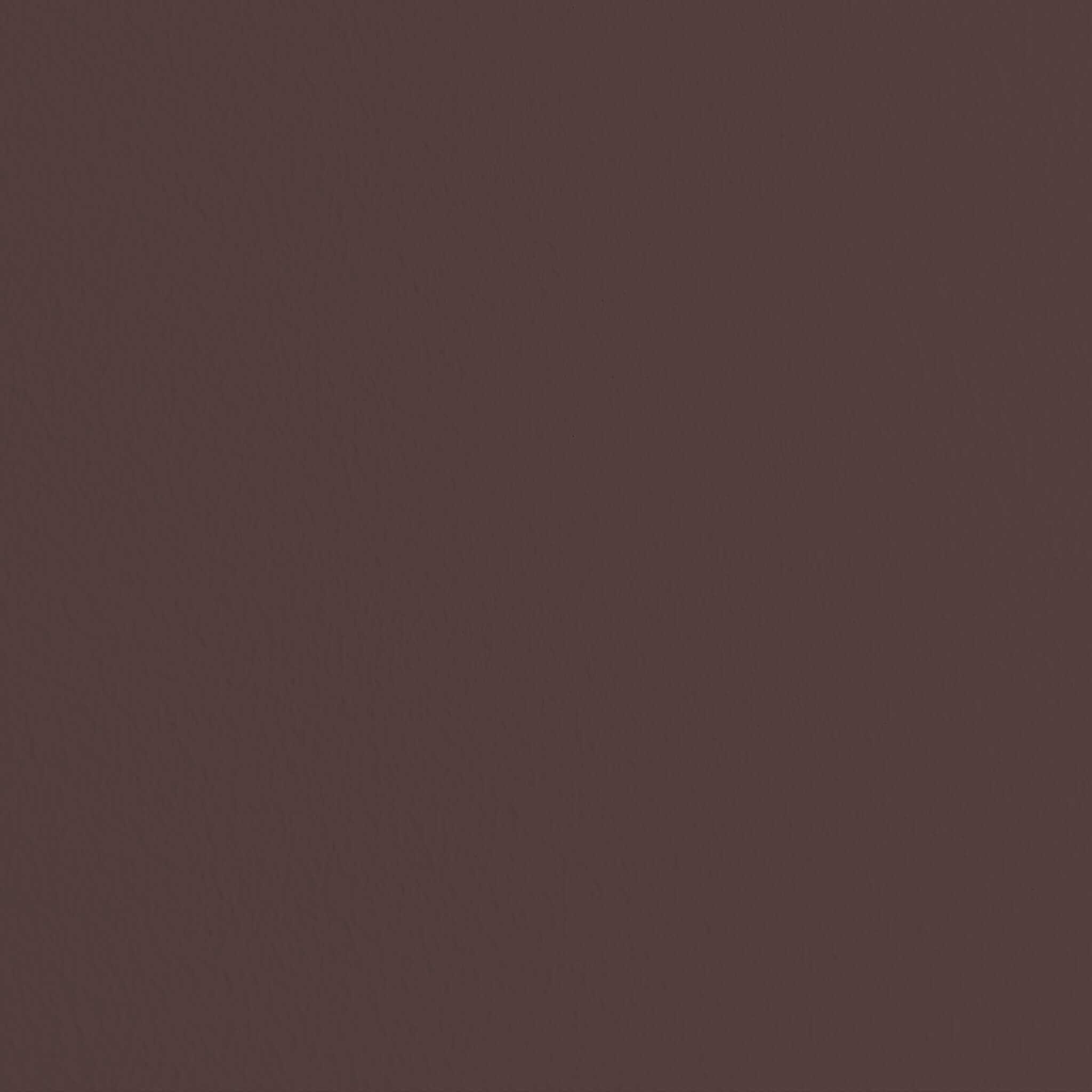 MissPompadour Brown with Dark Chocolate - The Functional Wall Paint 1L