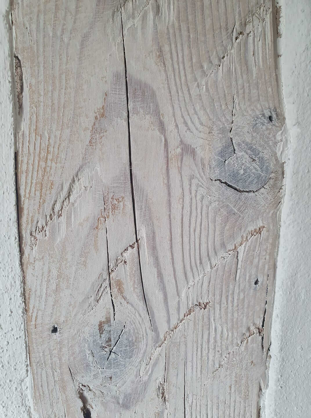 Painting the Past Wachs White