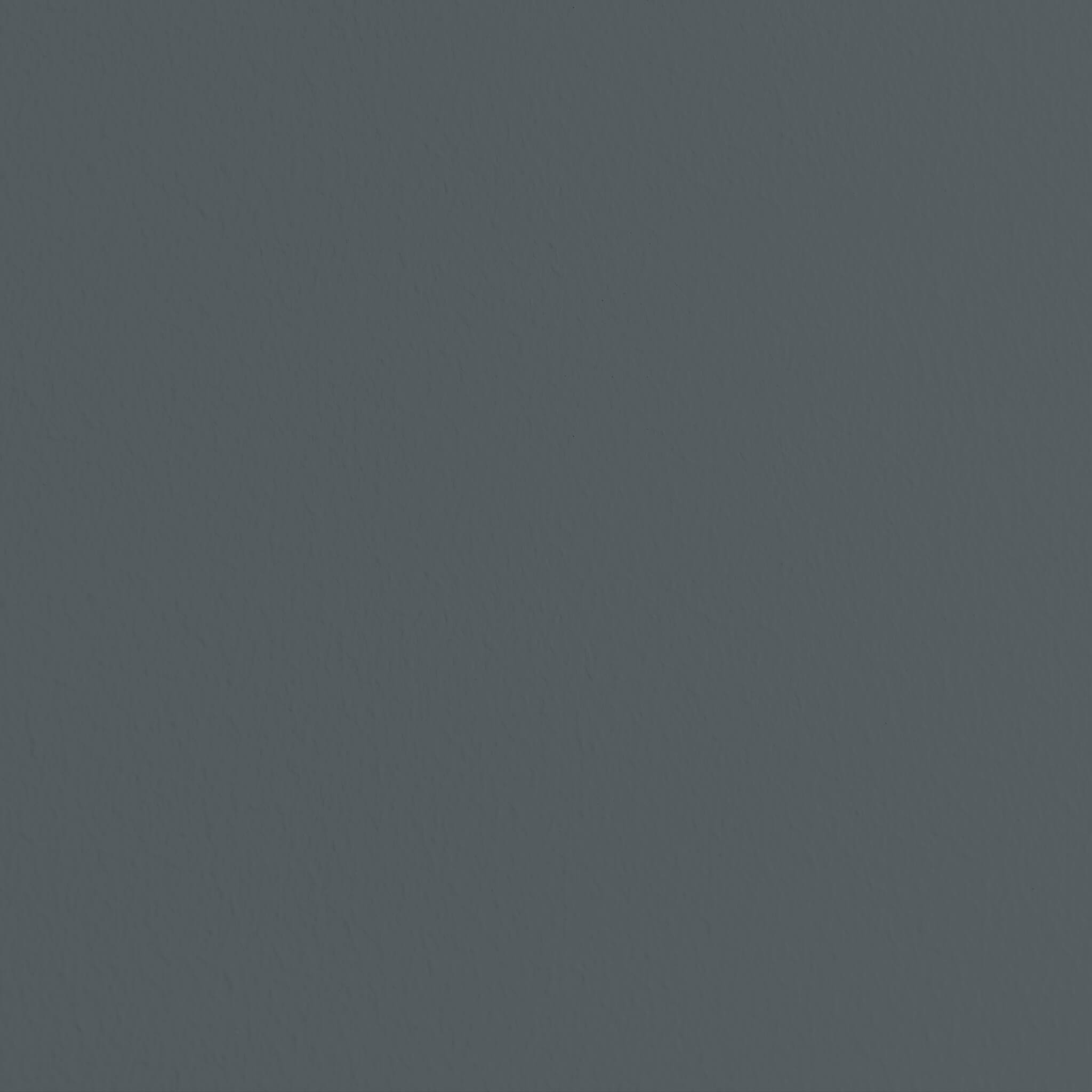 MissPompadour Grey with Black - The Valuable Wall Paint 1L