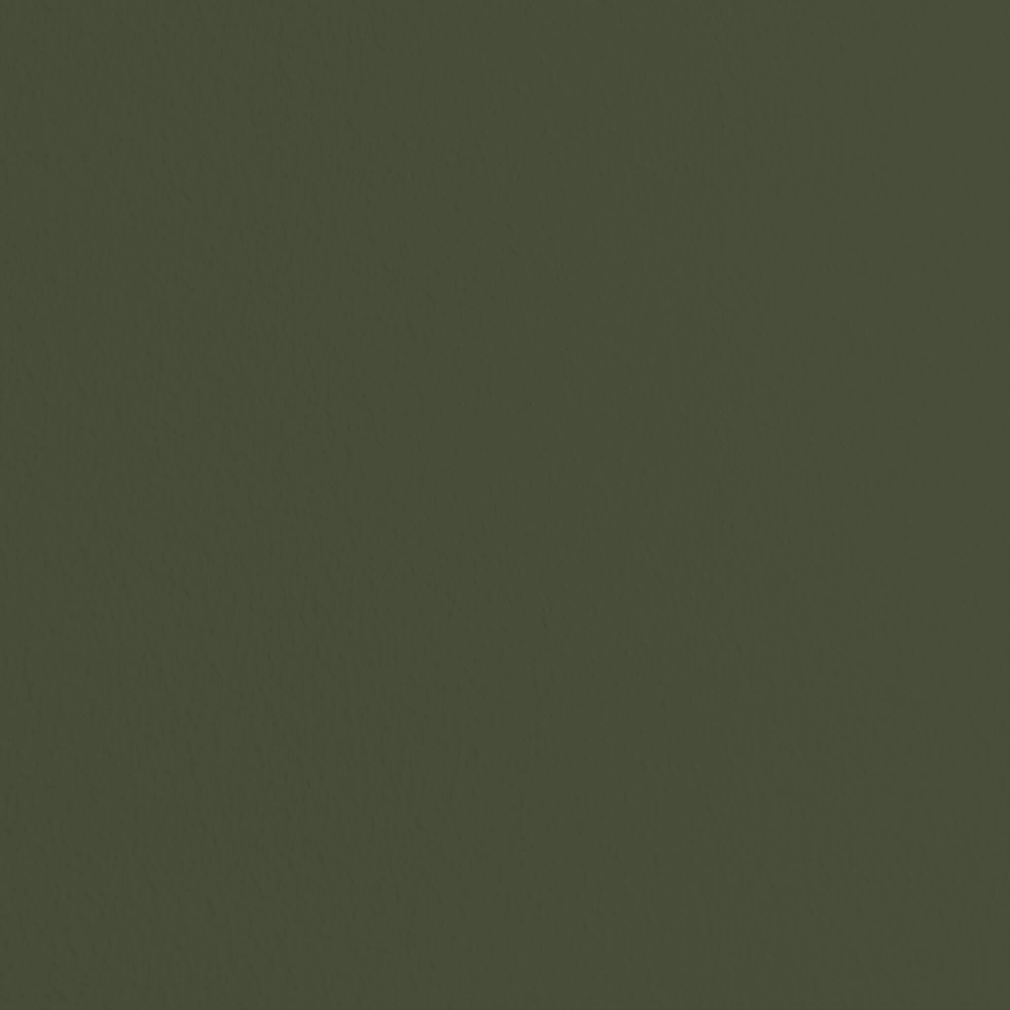 MissPompadour Grün mit Matsch - Die Nützliche 2.5L