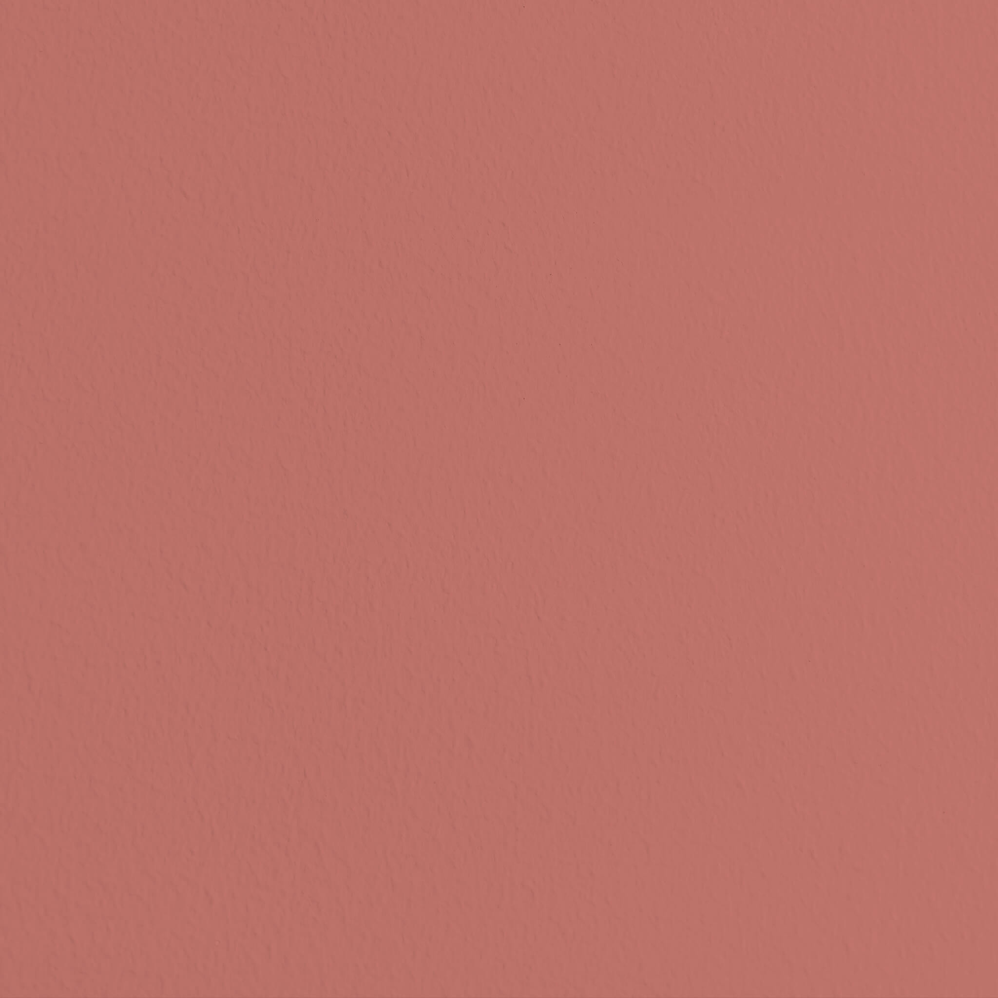 MissPompadour Red with Flamingo - The Functional Wall Paint 1L